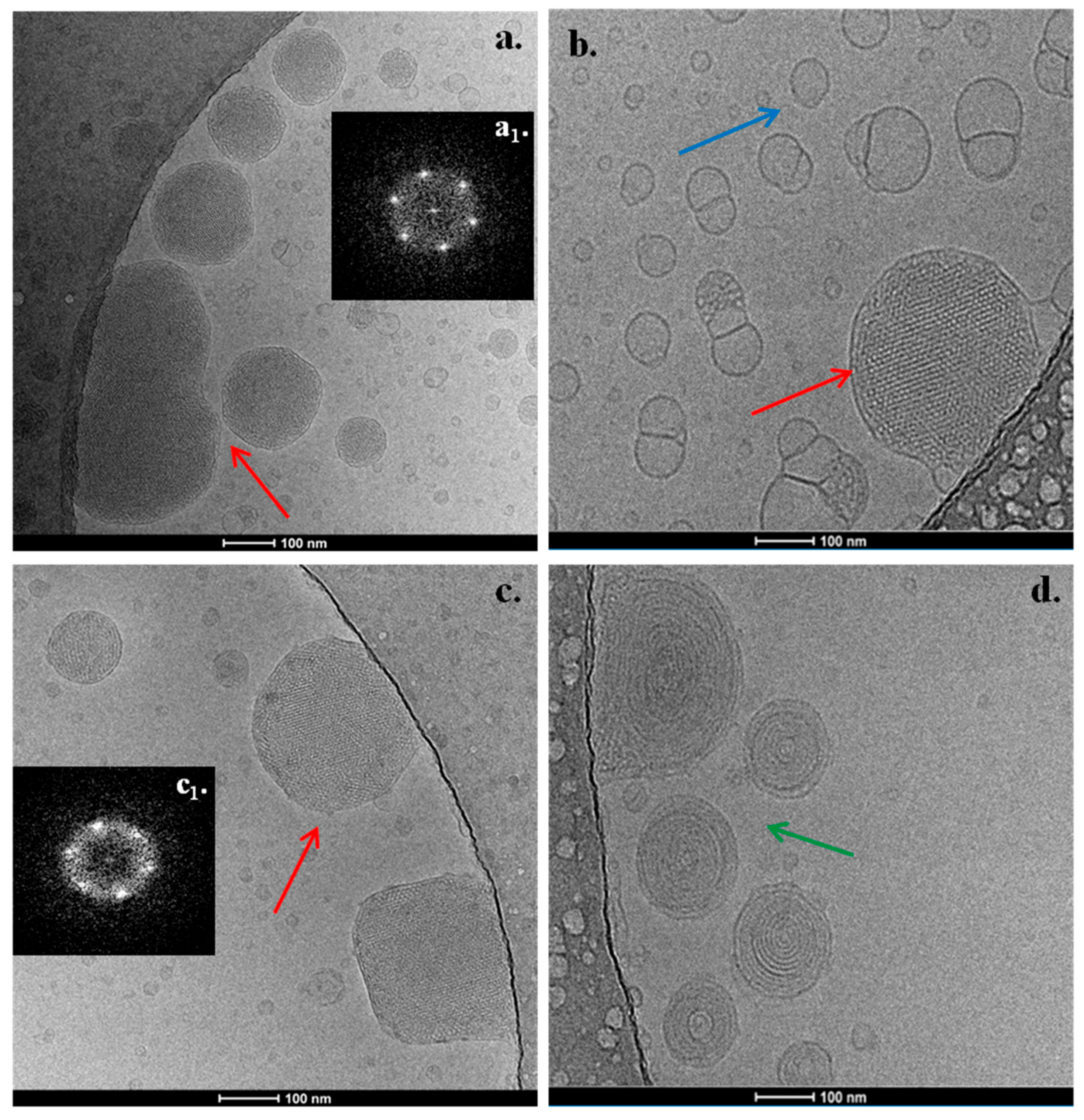Pharmaceutics 17 01199 g004 Pharmaceutics 17 01199 g004