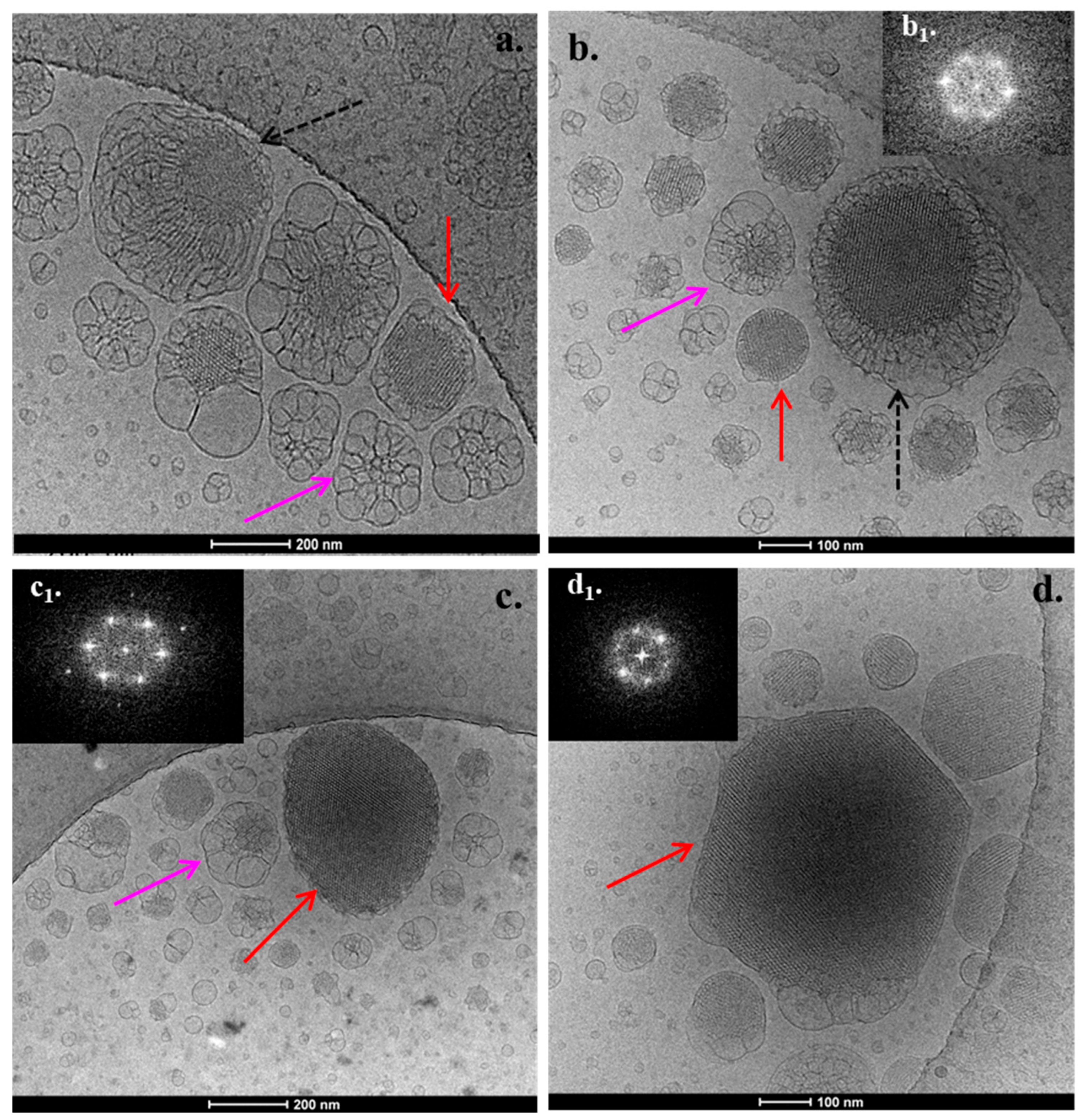 Pharmaceutics 17 01199 g005 Pharmaceutics 17 01199 g005