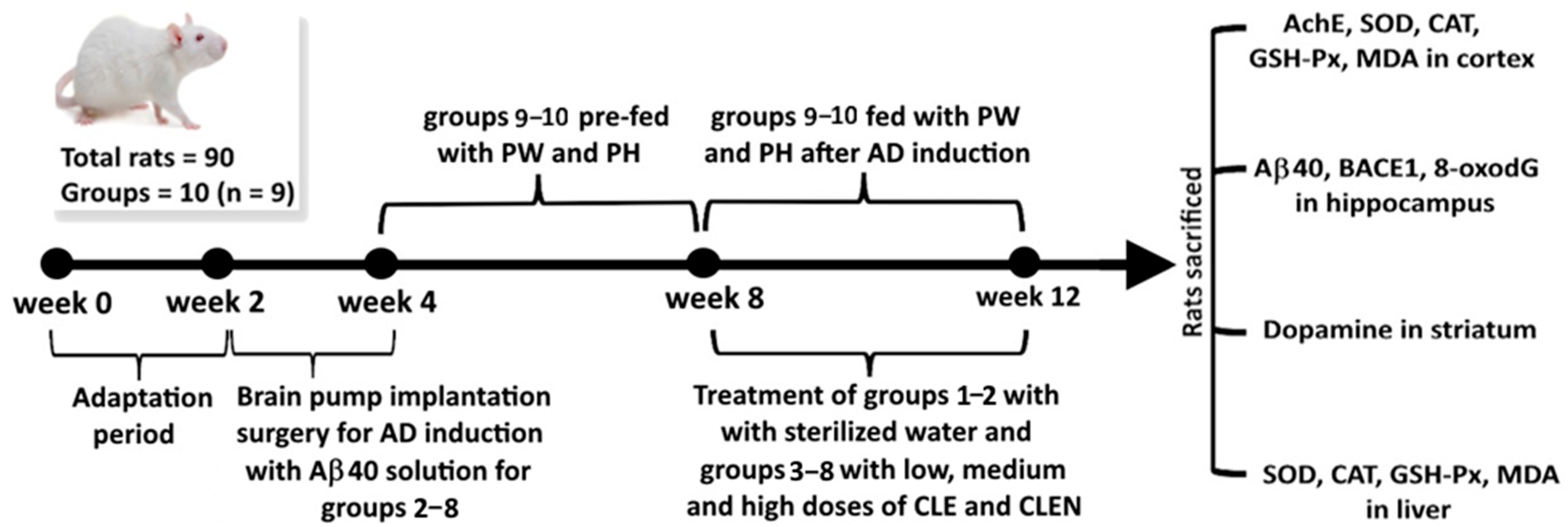 Pharmaceutics 17 01200 g001