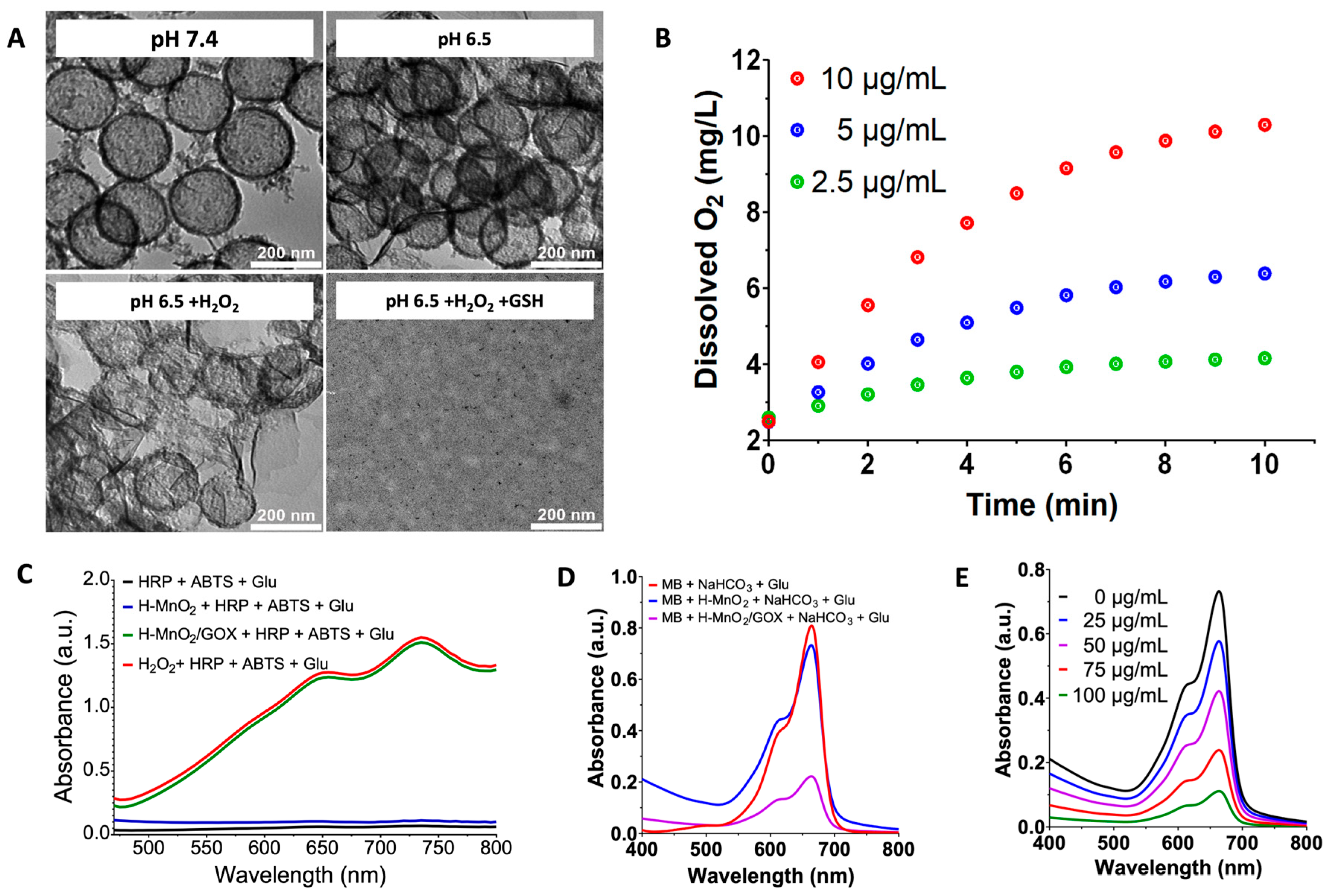 Pharmaceutics 17 01201 g002