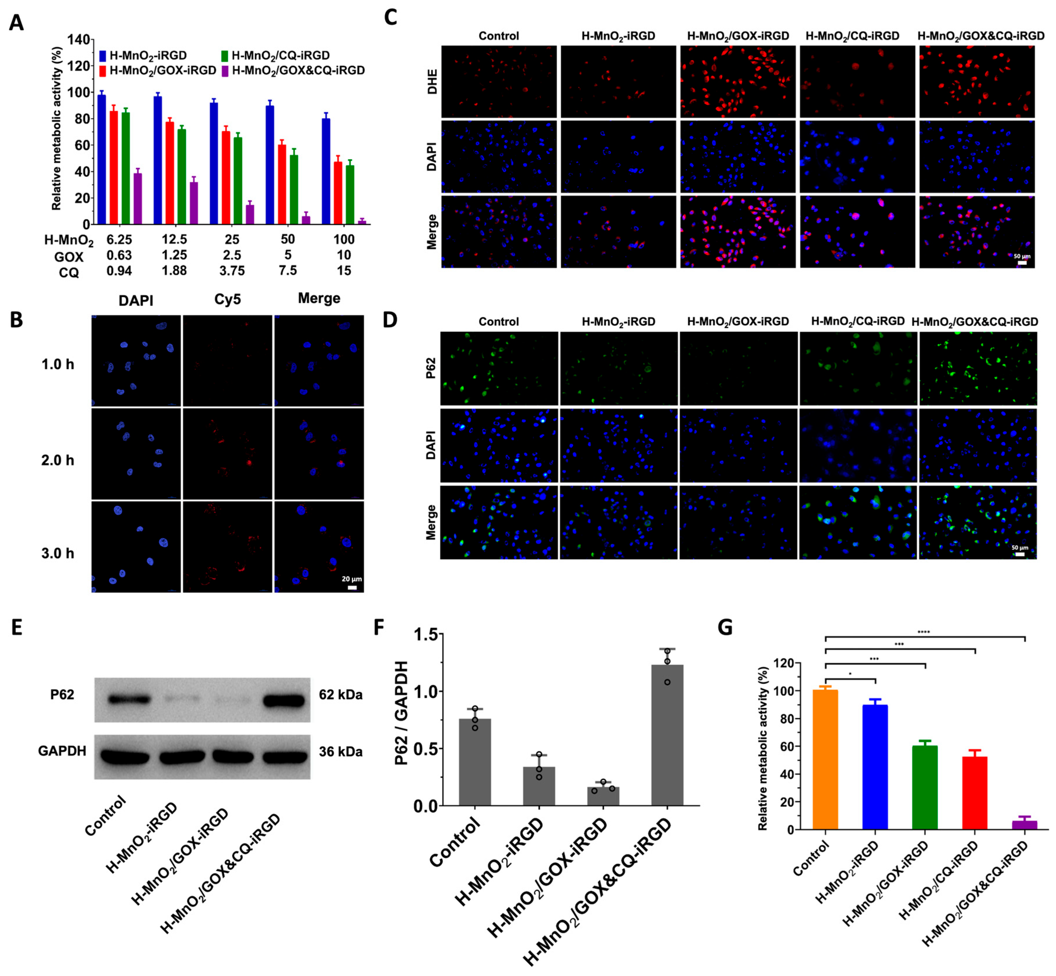Pharmaceutics 17 01201 g003