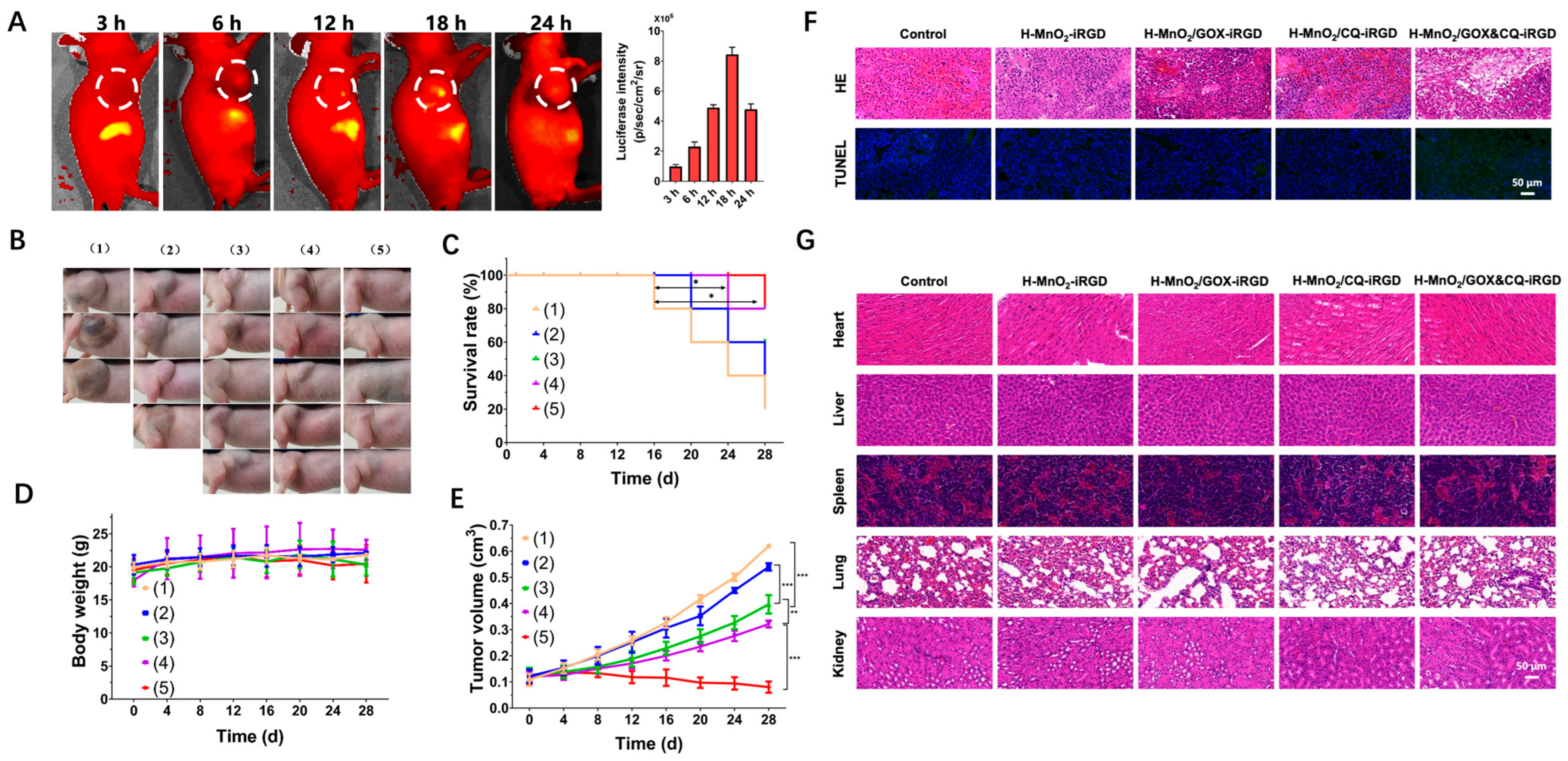 Pharmaceutics 17 01201 g004