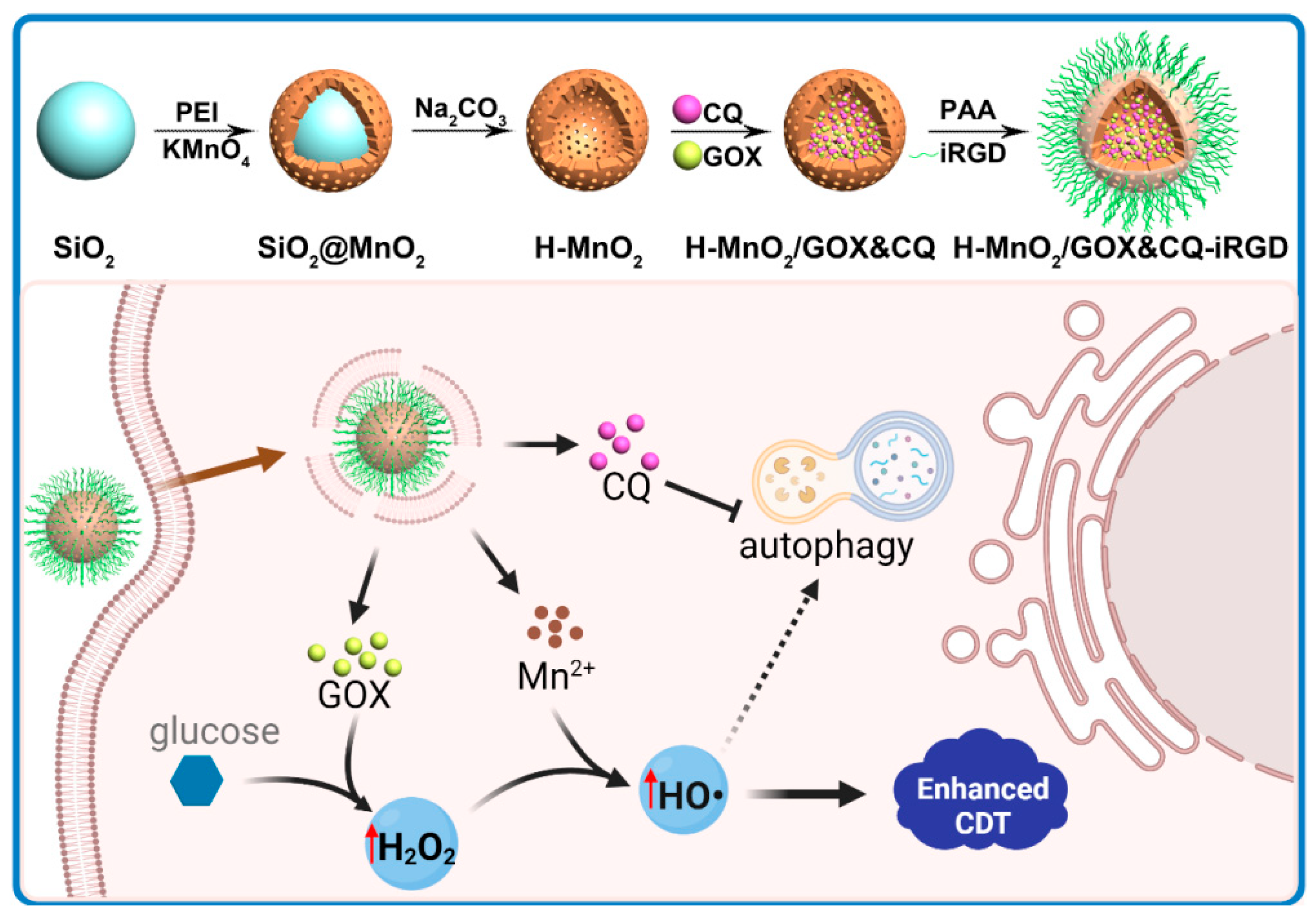 Pharmaceutics 17 01201 sch001