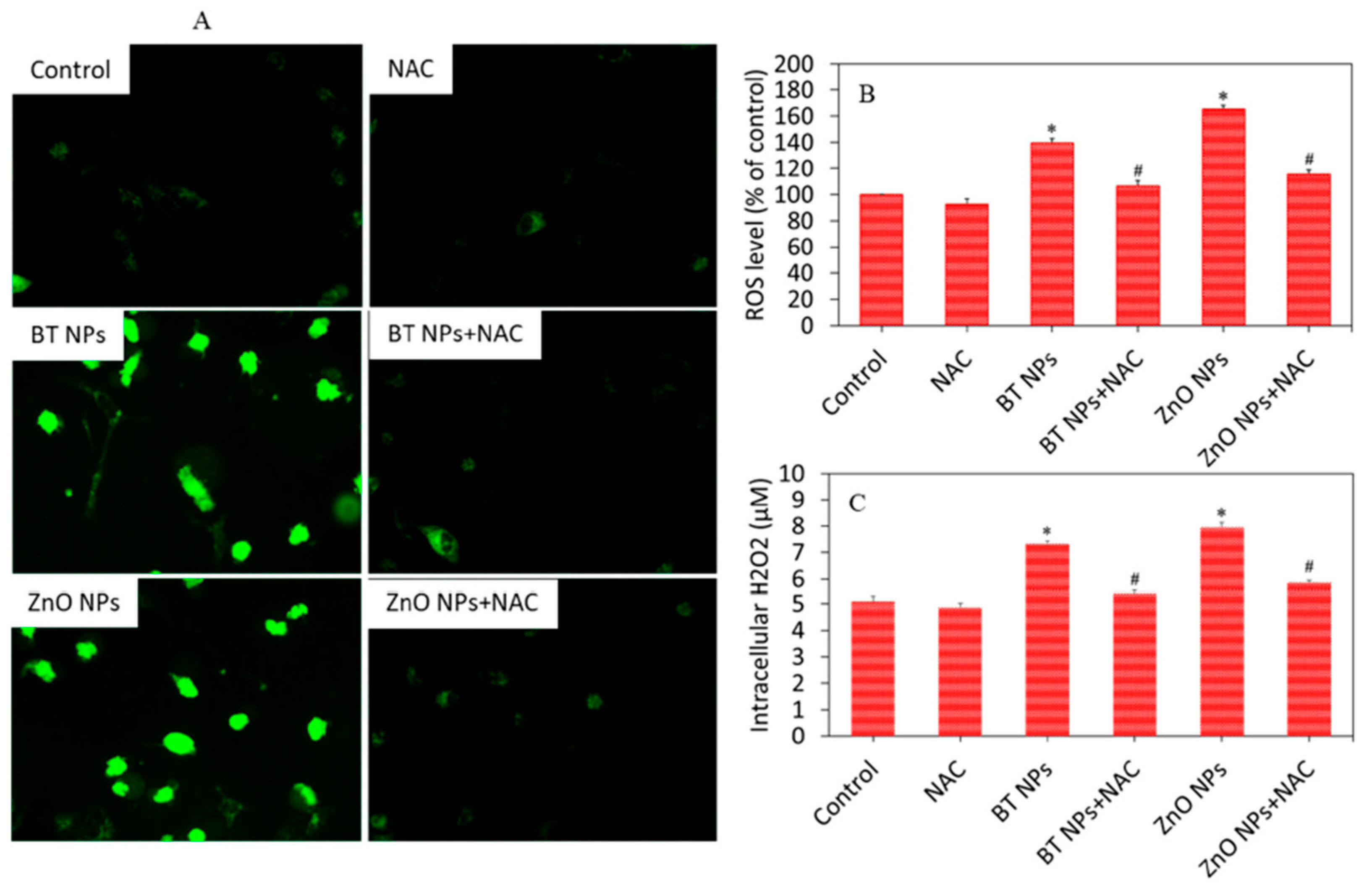 Pharmaceutics 17 01203 g005 Pharmaceutics 17 01203 g005