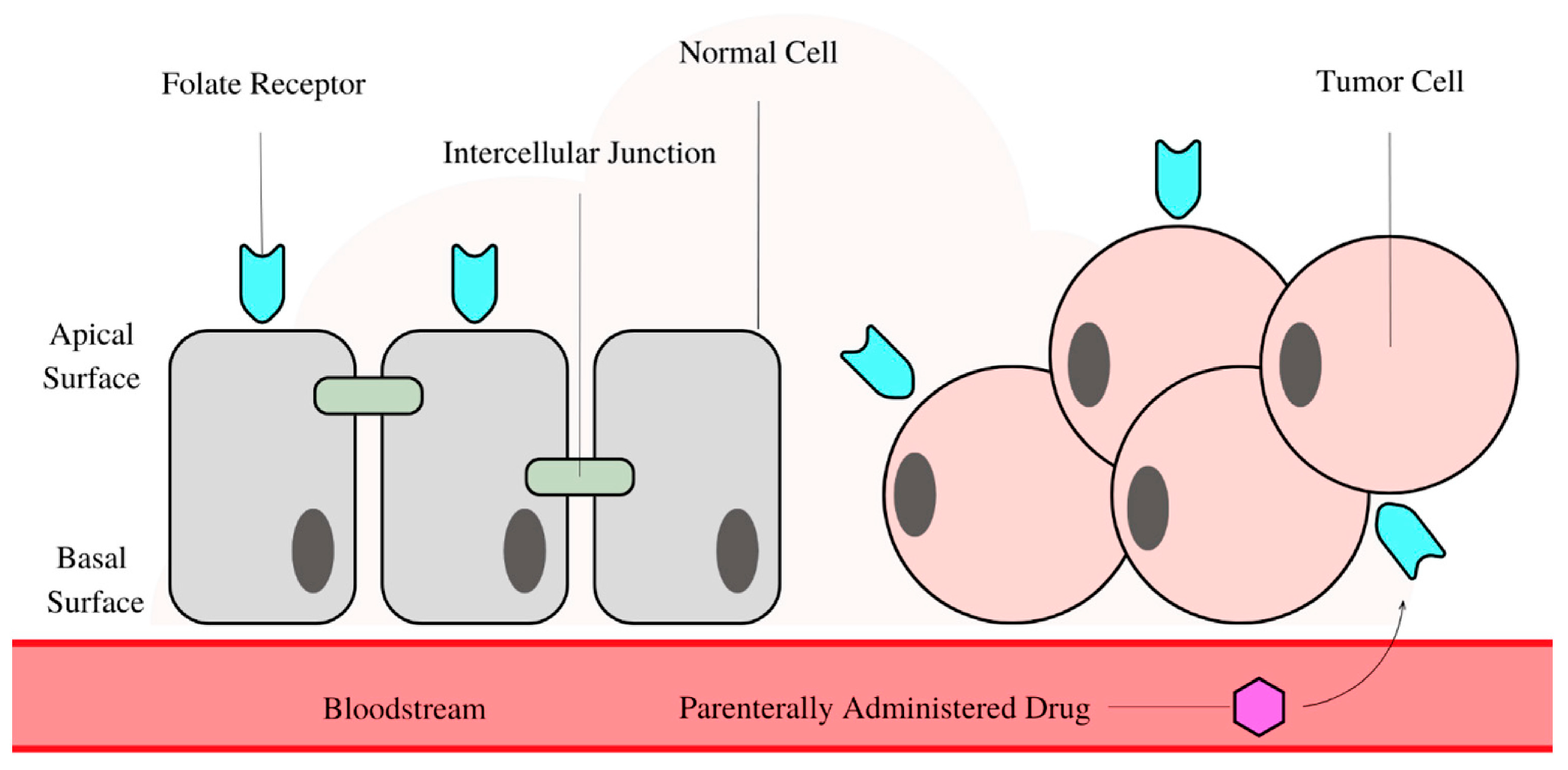 Pharmaceutics 17 01203 g006 Pharmaceutics 17 01203 g006