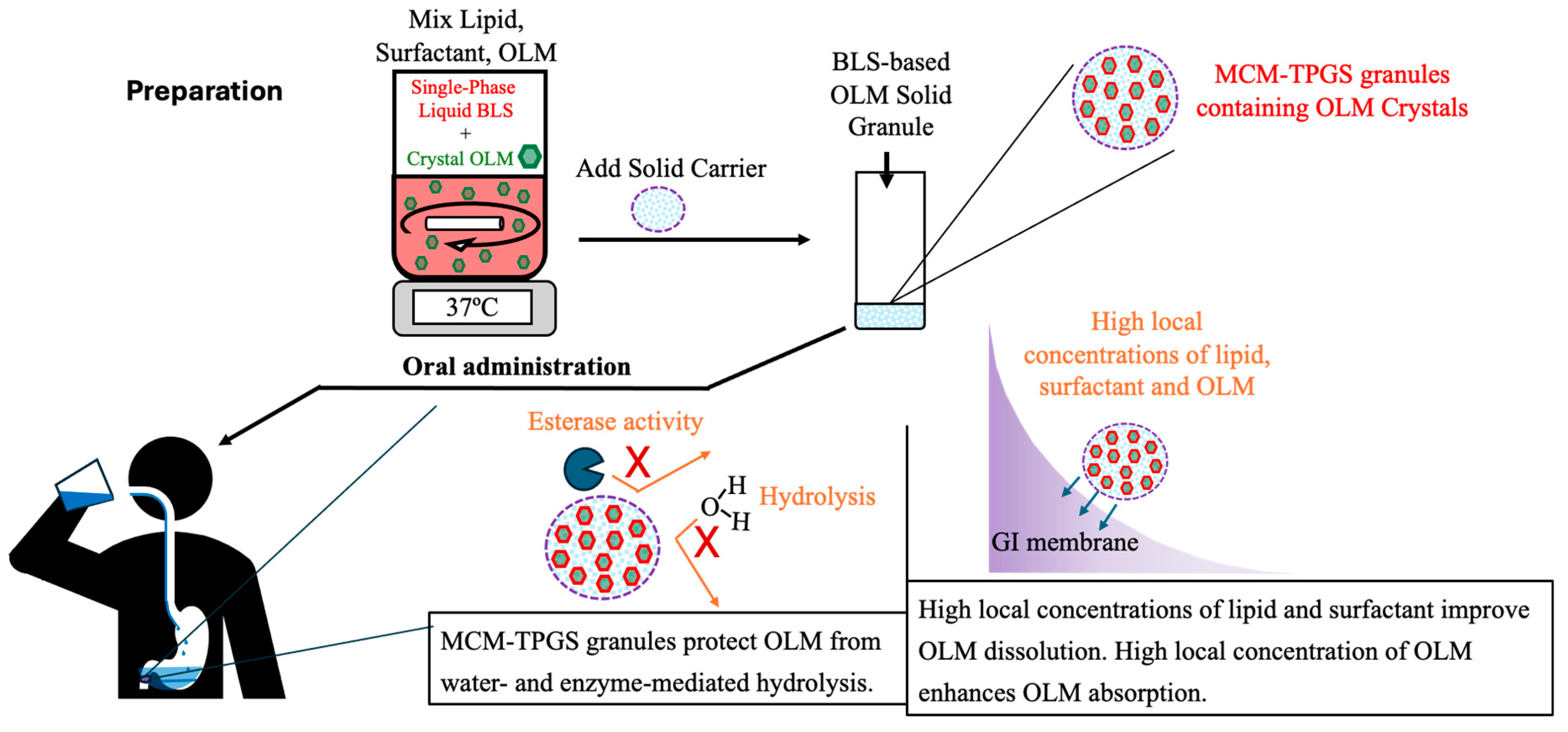 Pharmaceutics 17 01210 g006