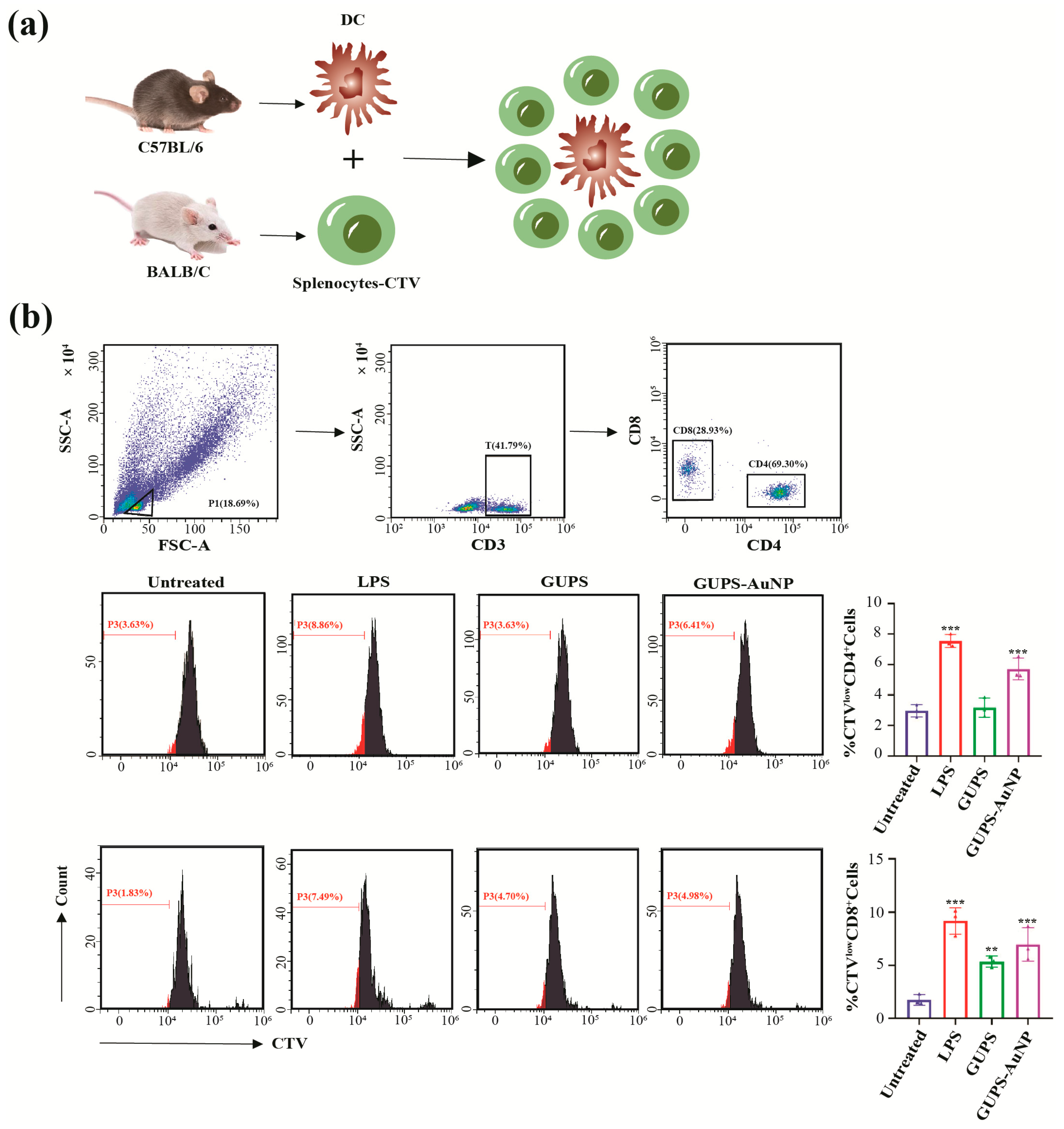 Pharmaceutics 17 01213 g003