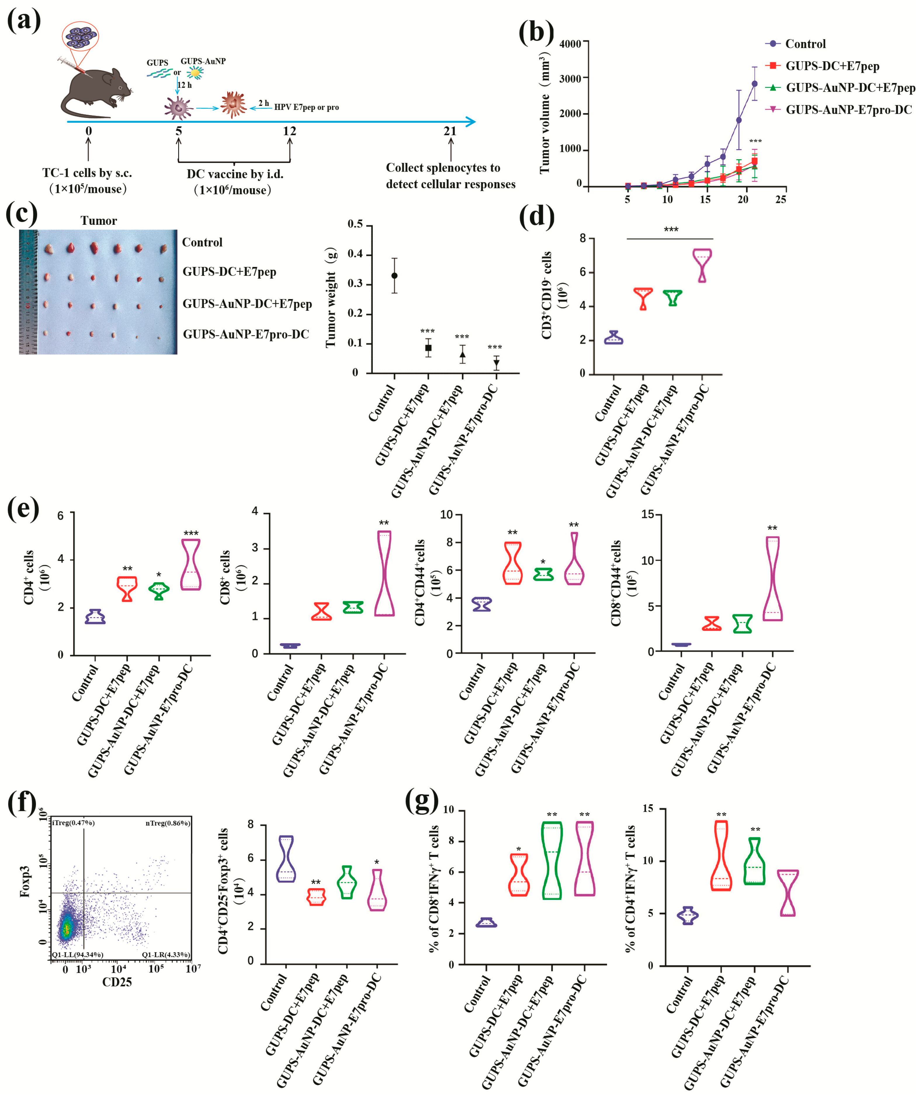 Pharmaceutics 17 01213 g005