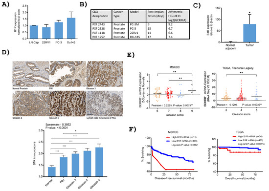 Theranostic Potential of a New 64Cu-Labeled NOTA-R954 Peptide