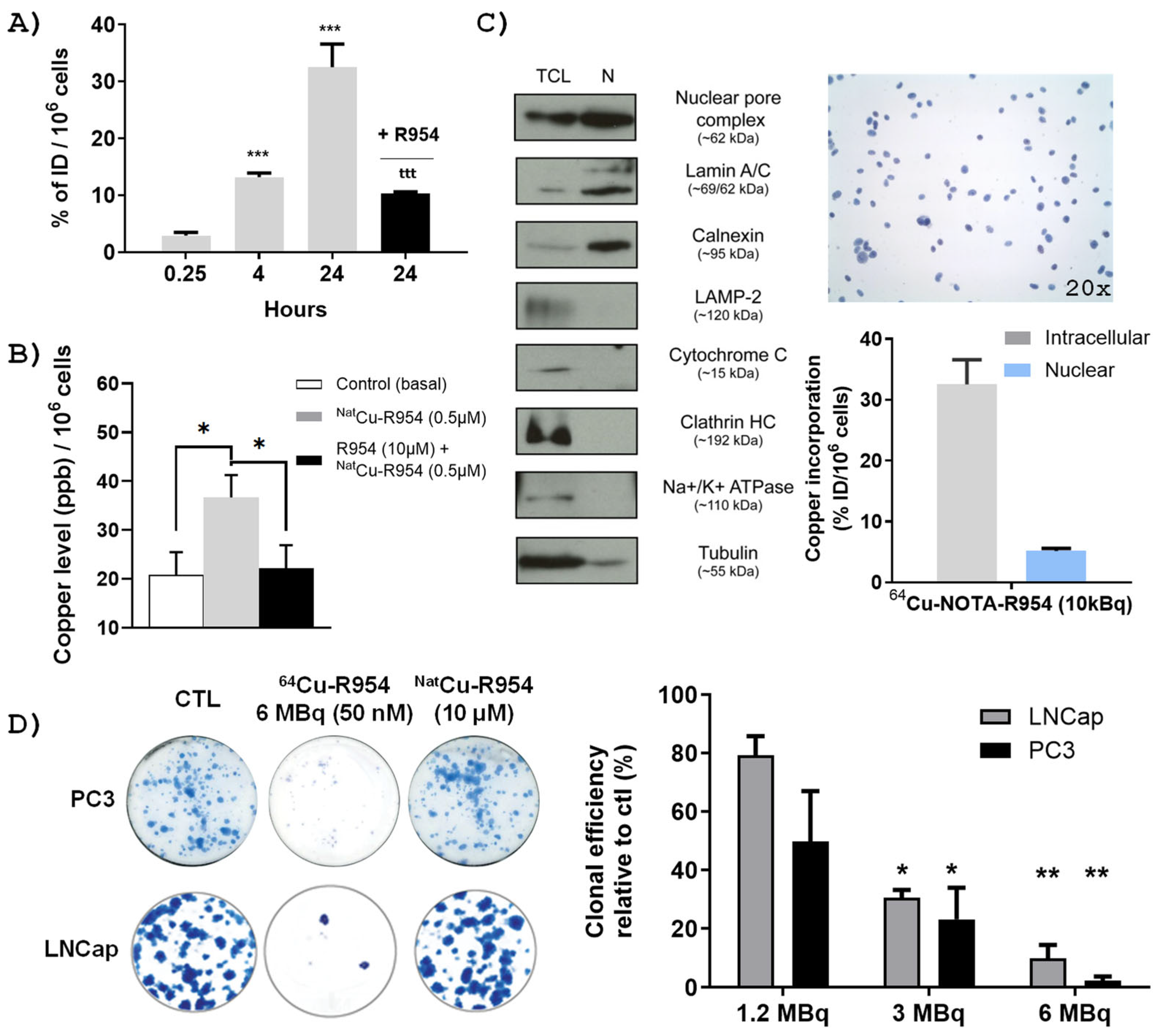 Pharmaceutics 17 01215 g003