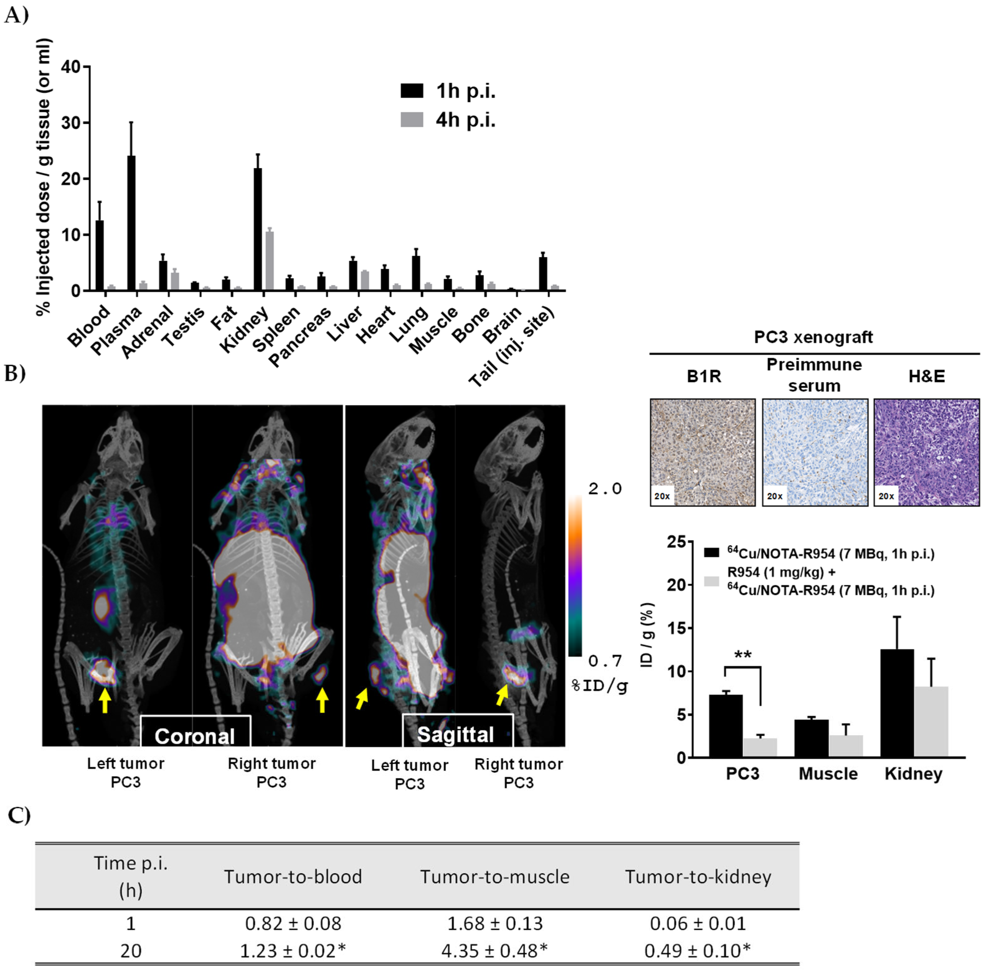 Pharmaceutics 17 01215 g004