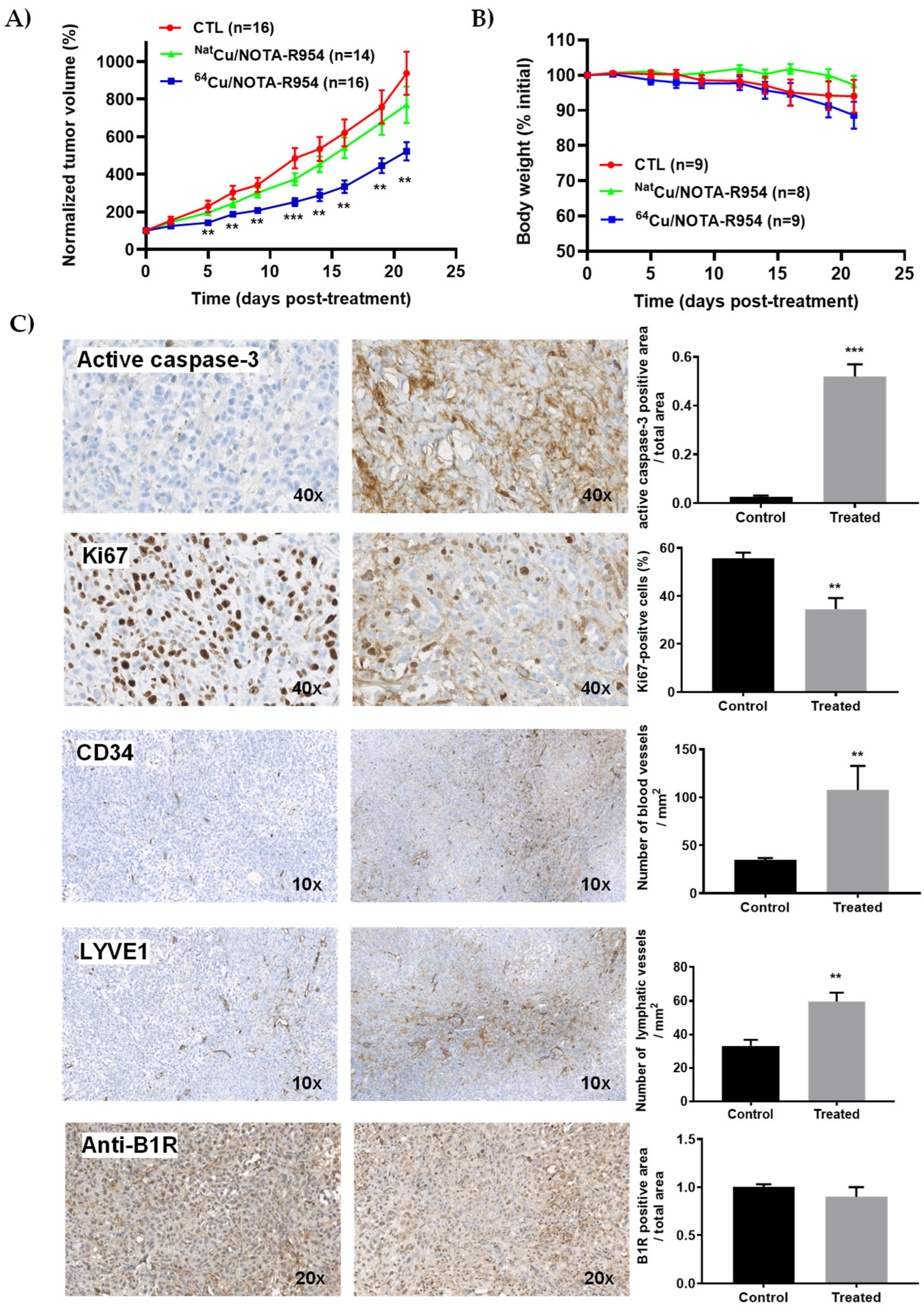 Pharmaceutics 17 01215 g005