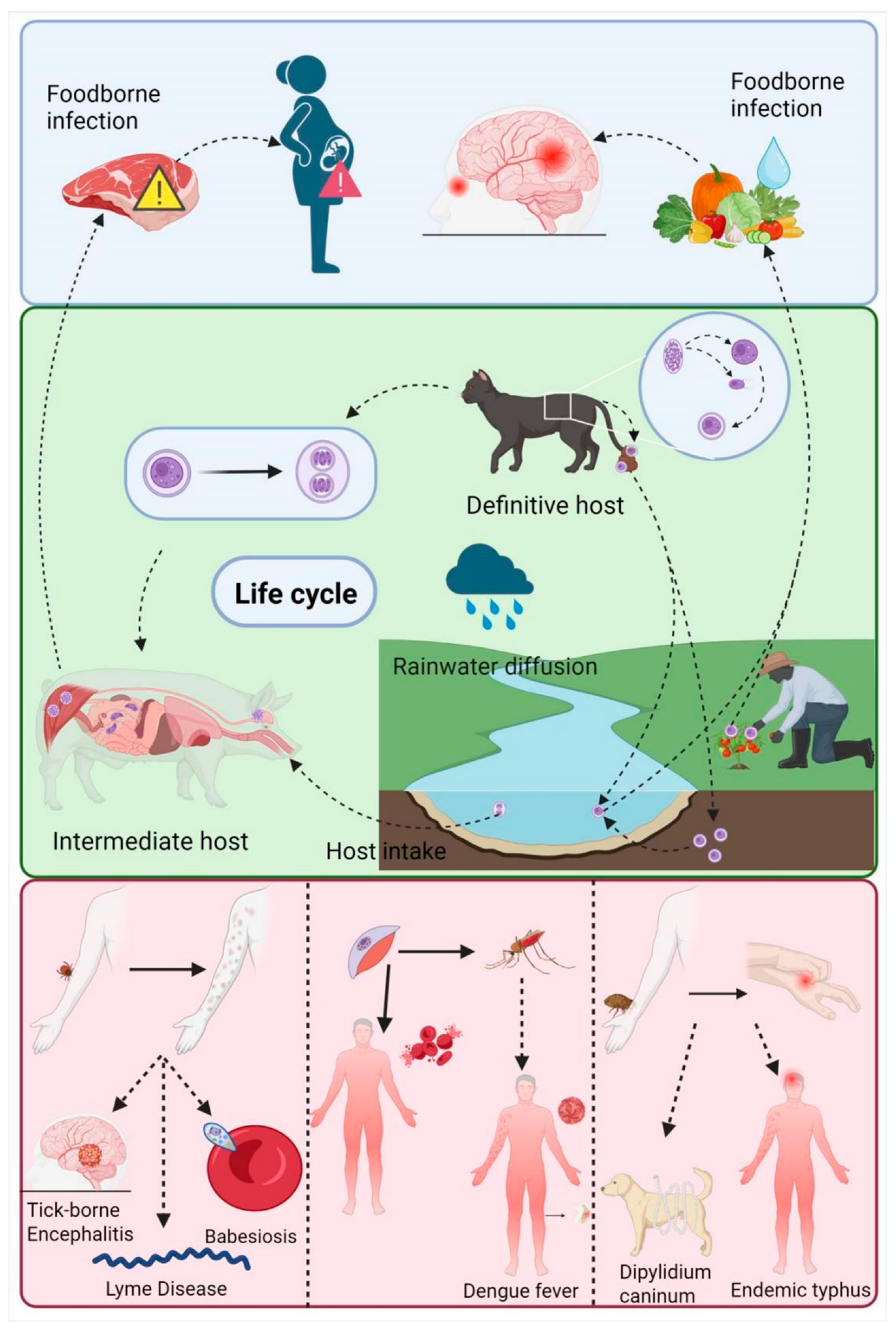 Pharmaceutics 17 01216 g001