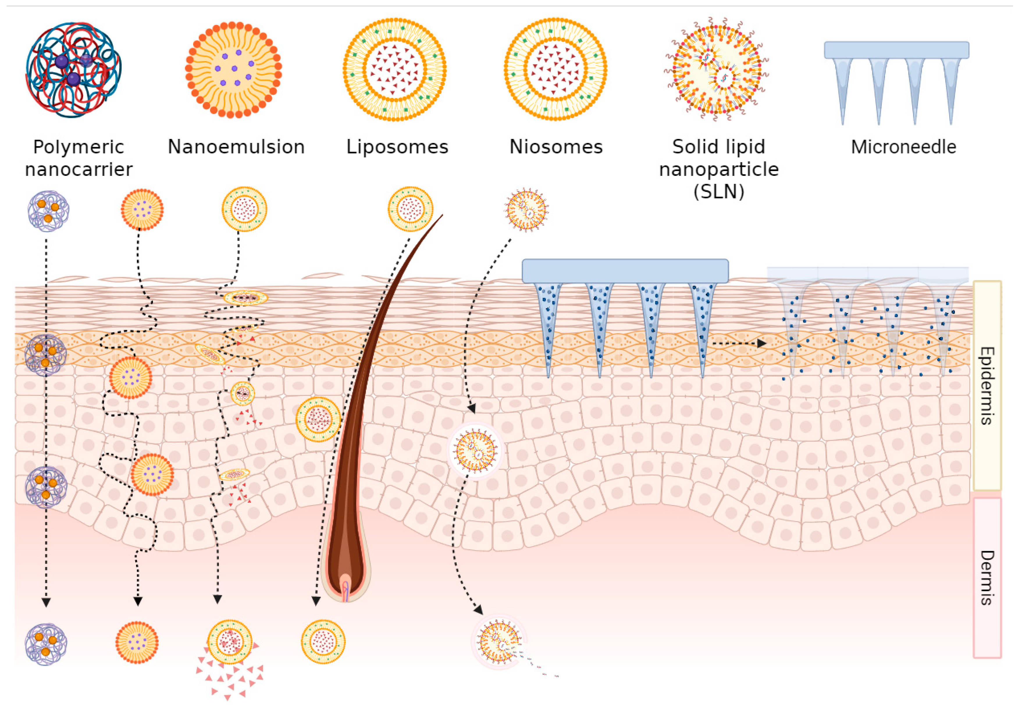 Pharmaceutics 17 01216 g002