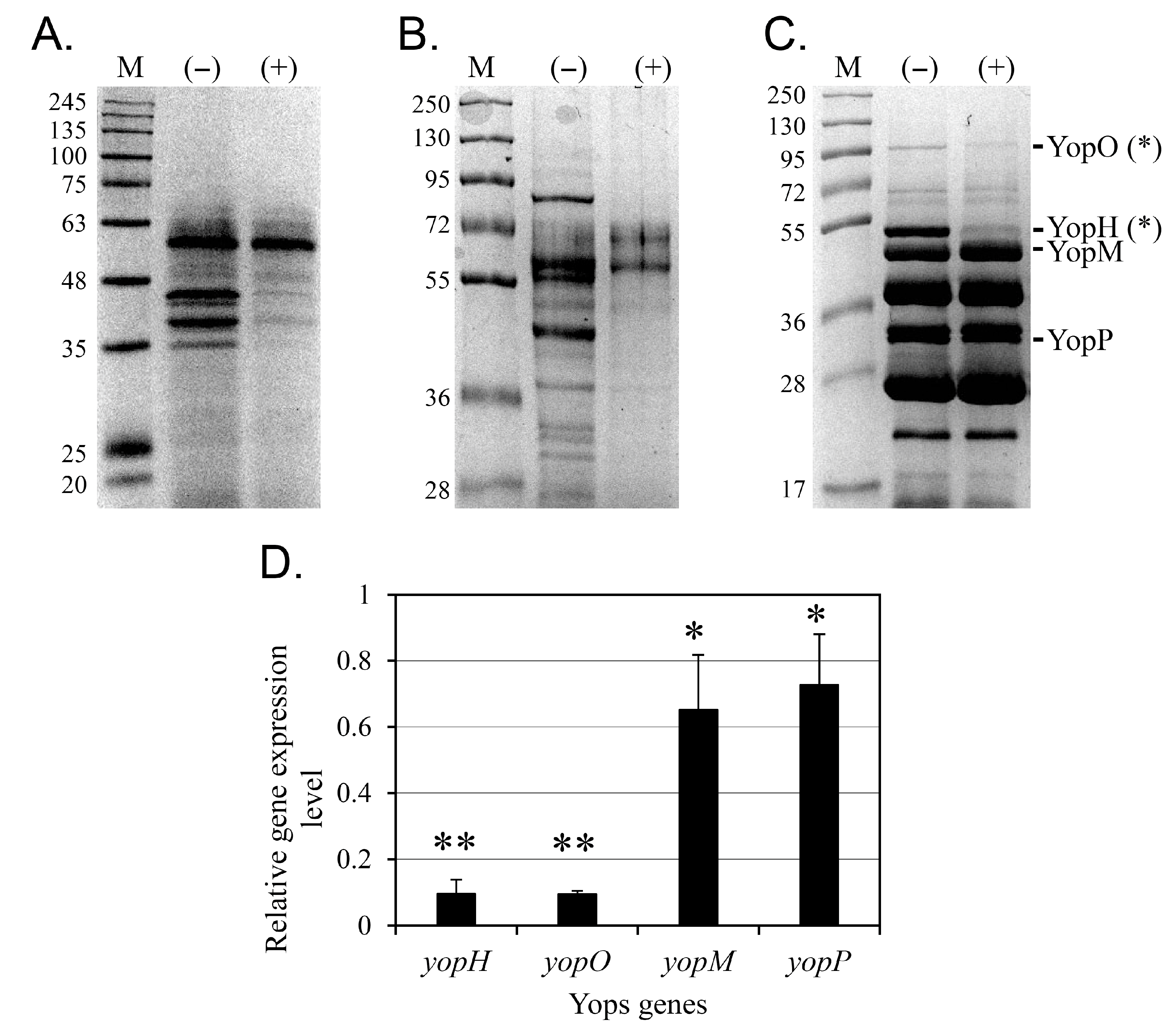 Pharmaceutics 17 01217 g004