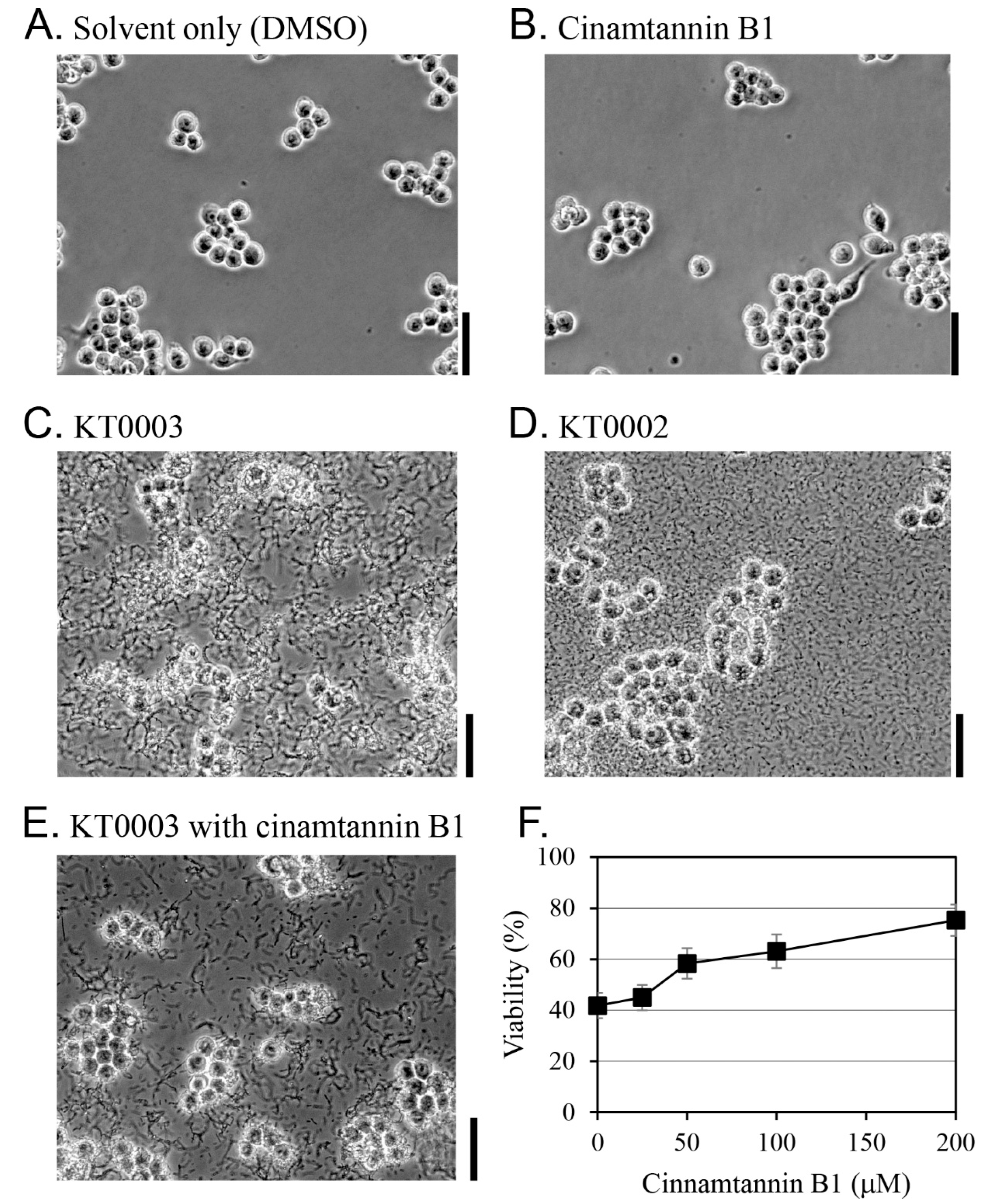 Pharmaceutics 17 01217 g005