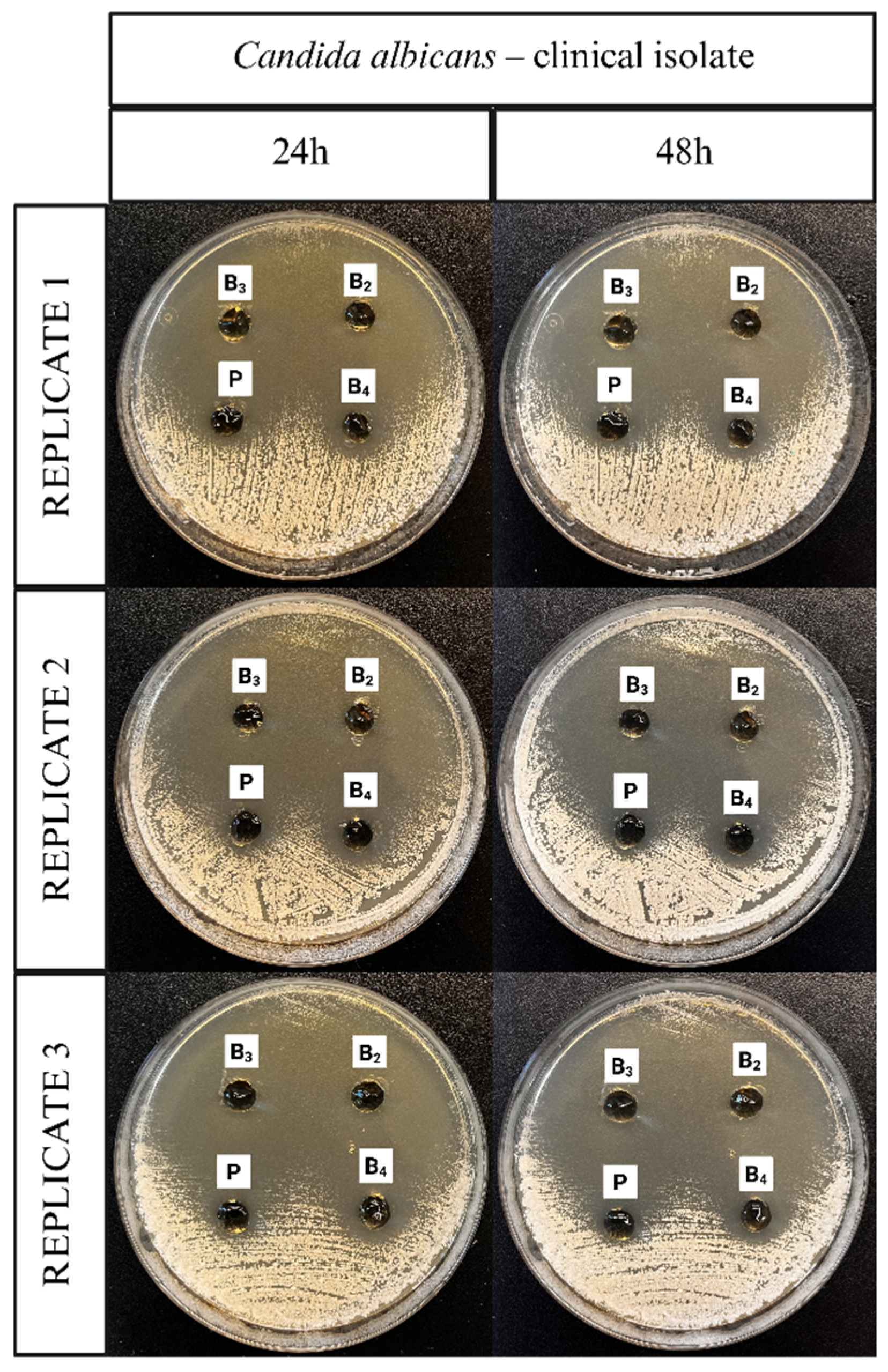 Pharmaceutics 17 01218 g011
