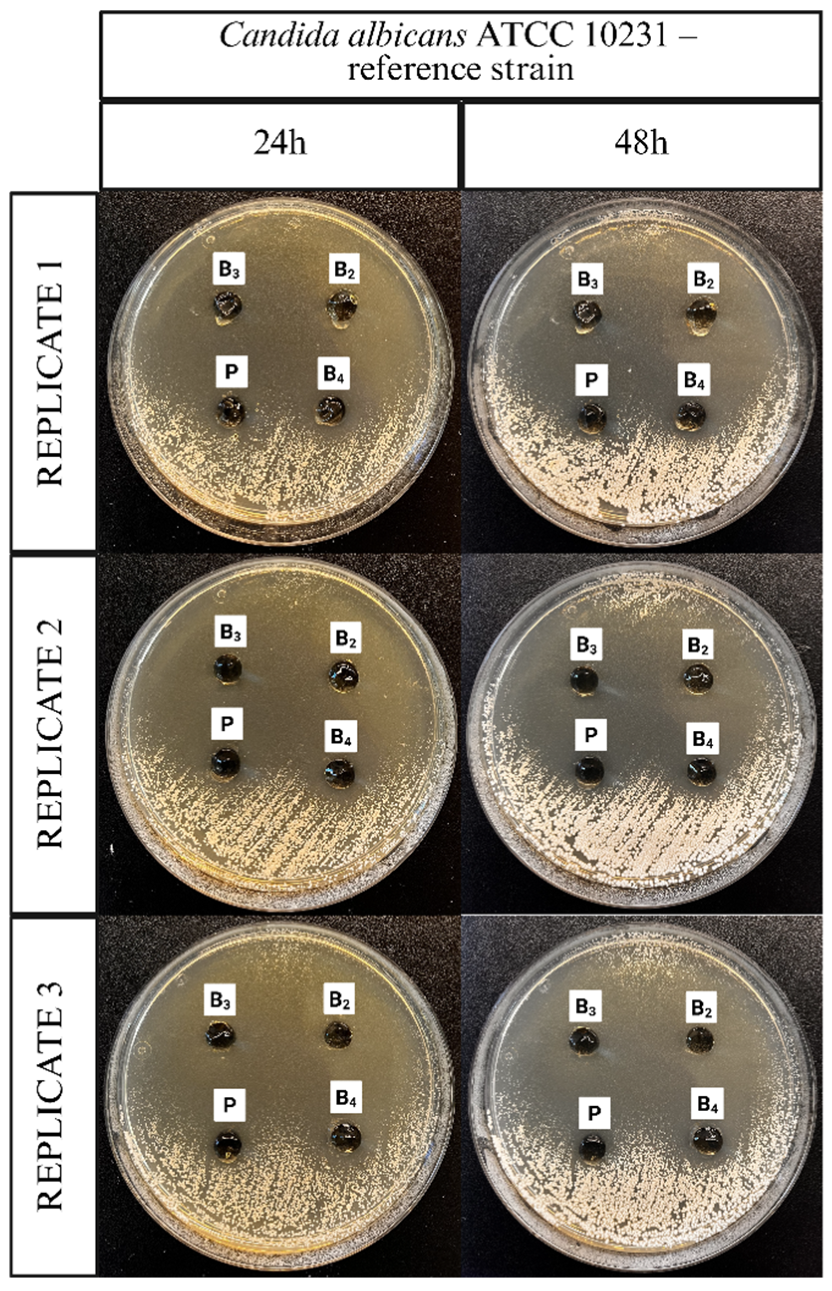Pharmaceutics 17 01218 g012