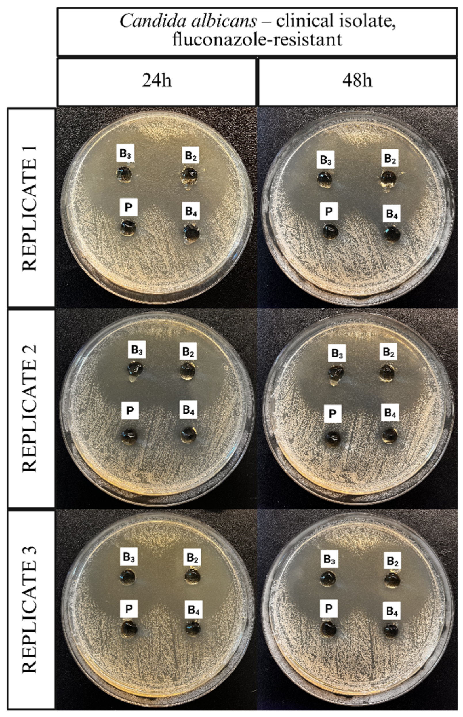 Pharmaceutics 17 01218 g013