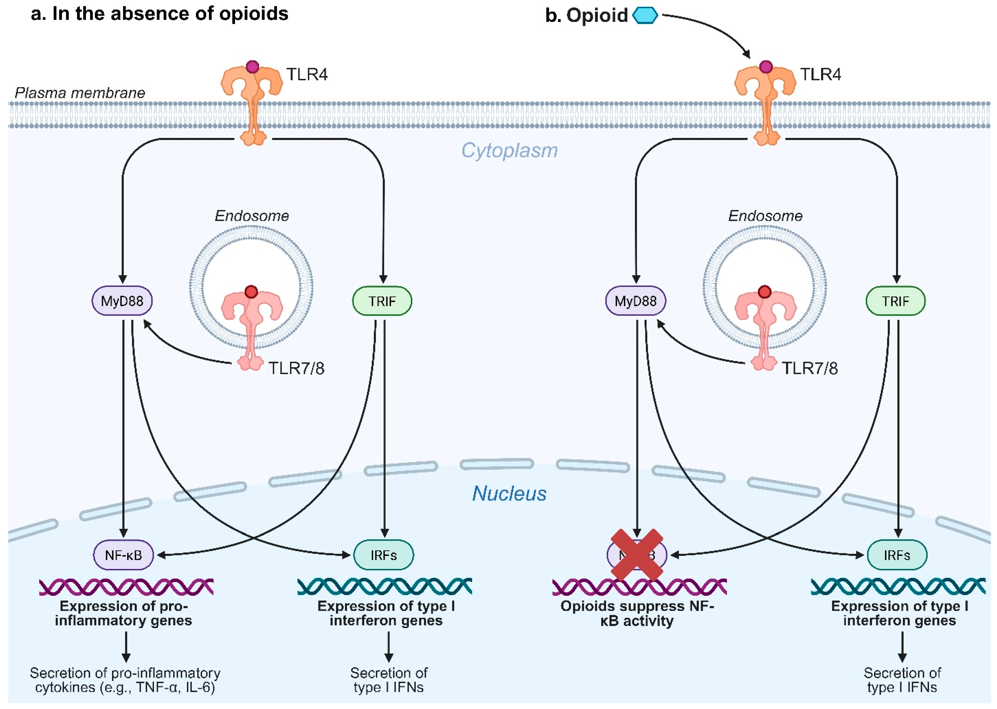Pharmaceutics 17 01223 g002