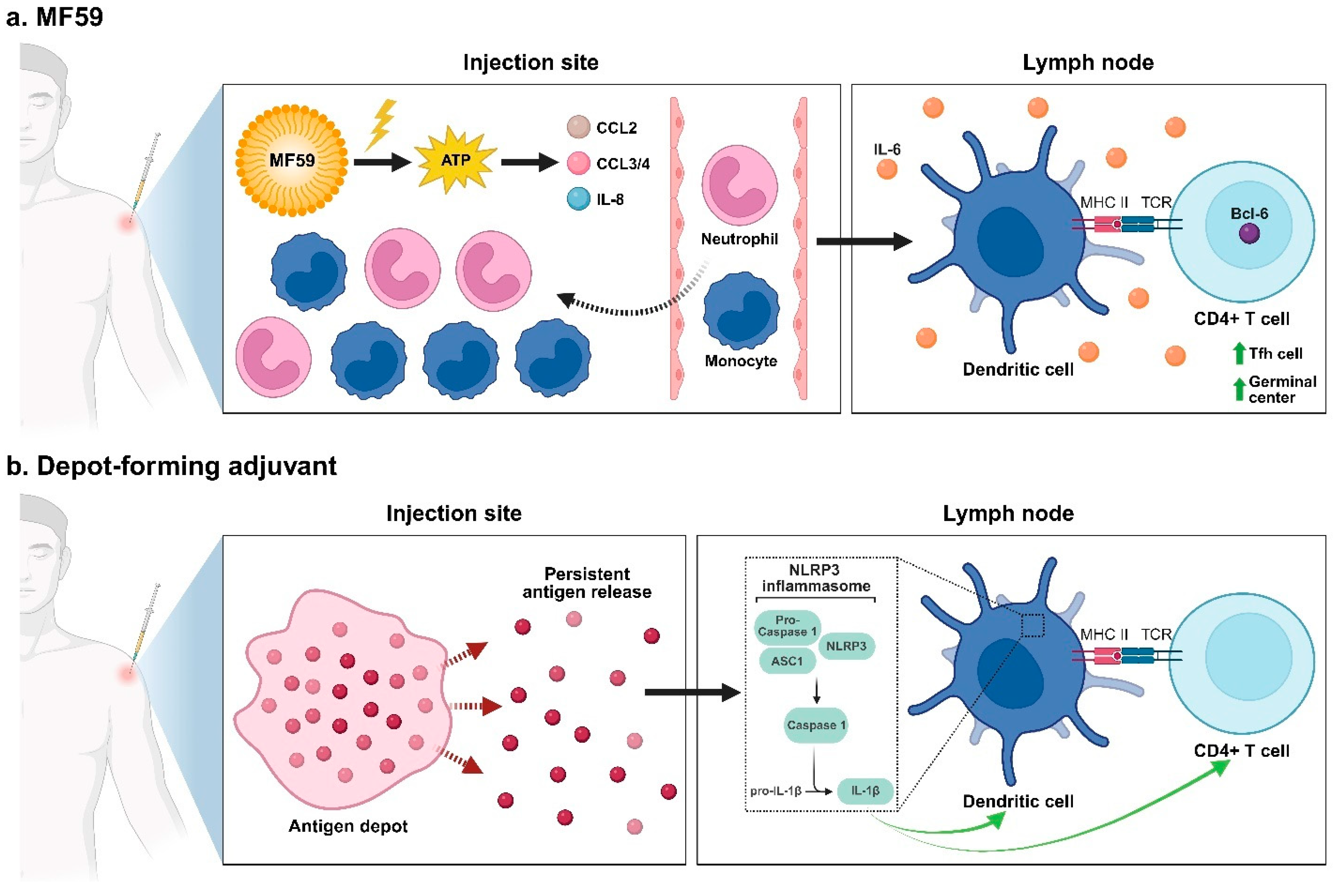 Pharmaceutics 17 01223 g003