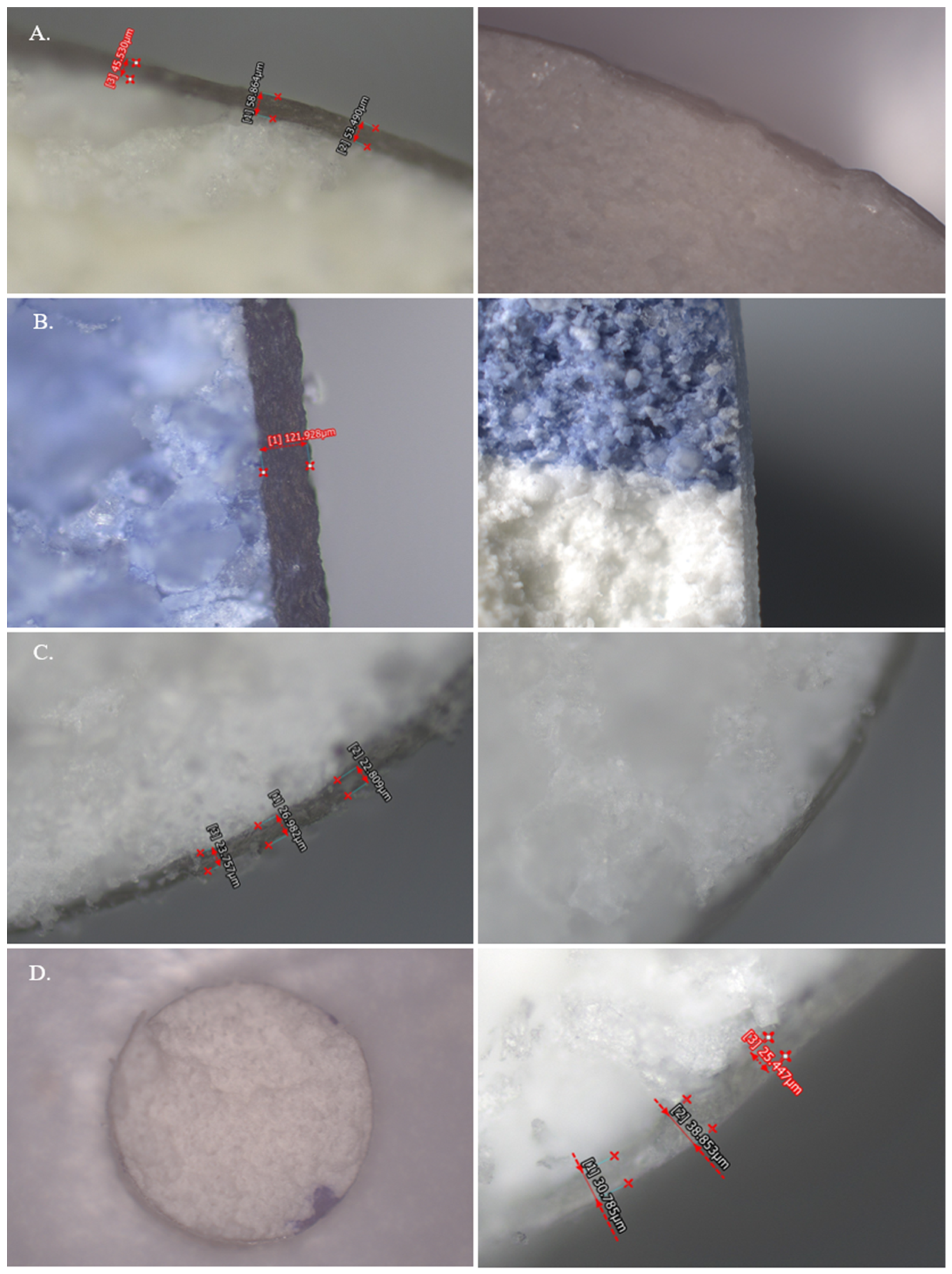 Pharmaceutics 17 01225 g001