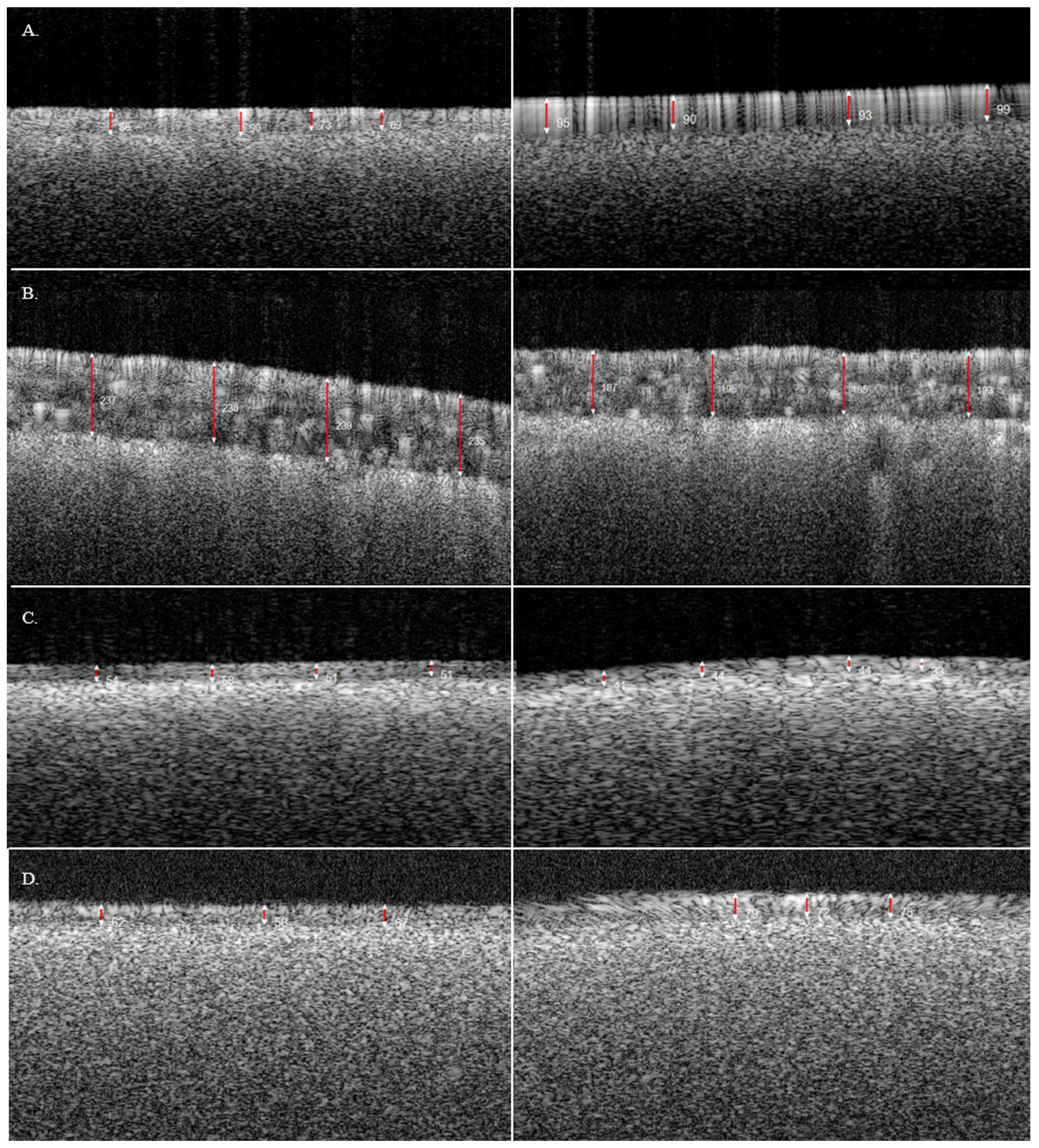 Pharmaceutics 17 01225 g002