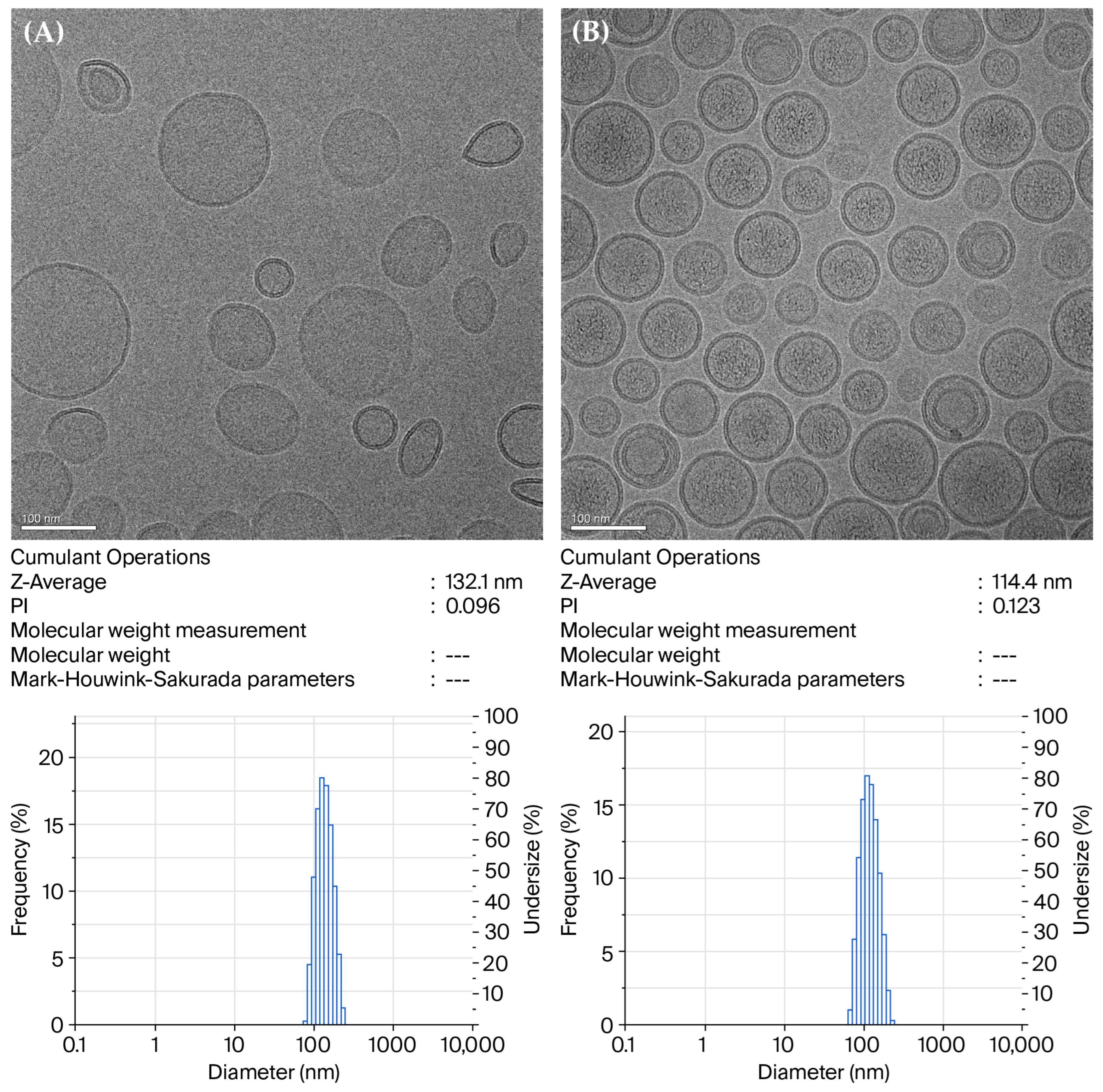 Pharmaceutics 17 01226 g001 Pharmaceutics 17 01226 g001
