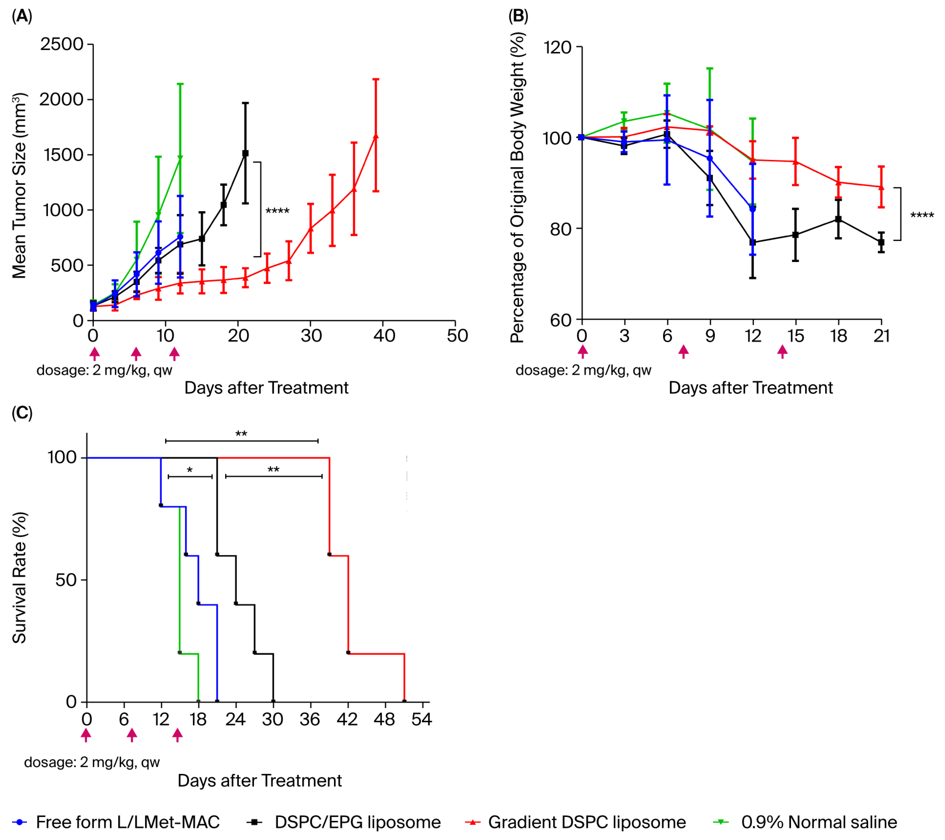 Pharmaceutics 17 01226 g006 Pharmaceutics 17 01226 g006