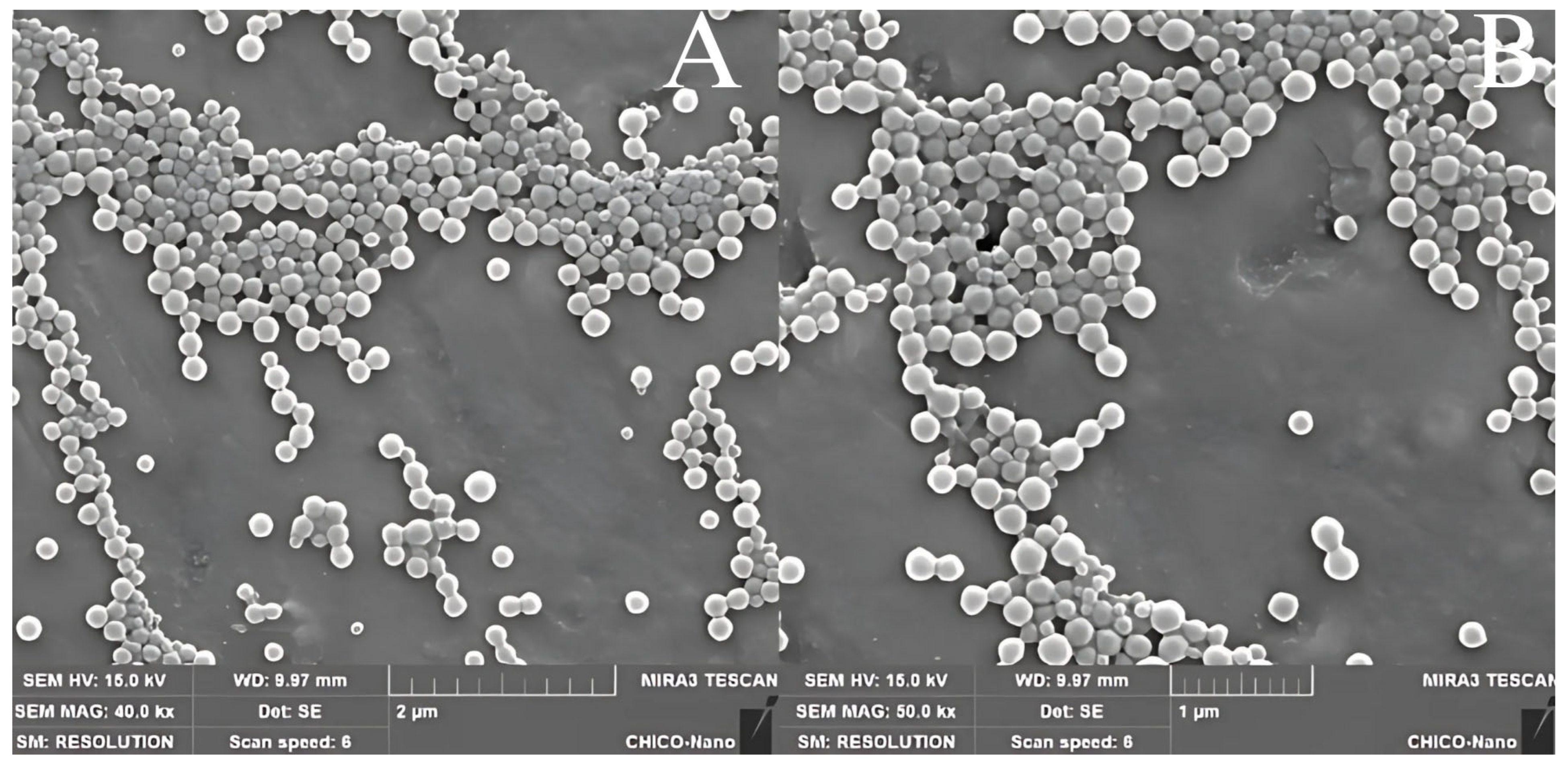 Pharmaceutics 17 01227 g004