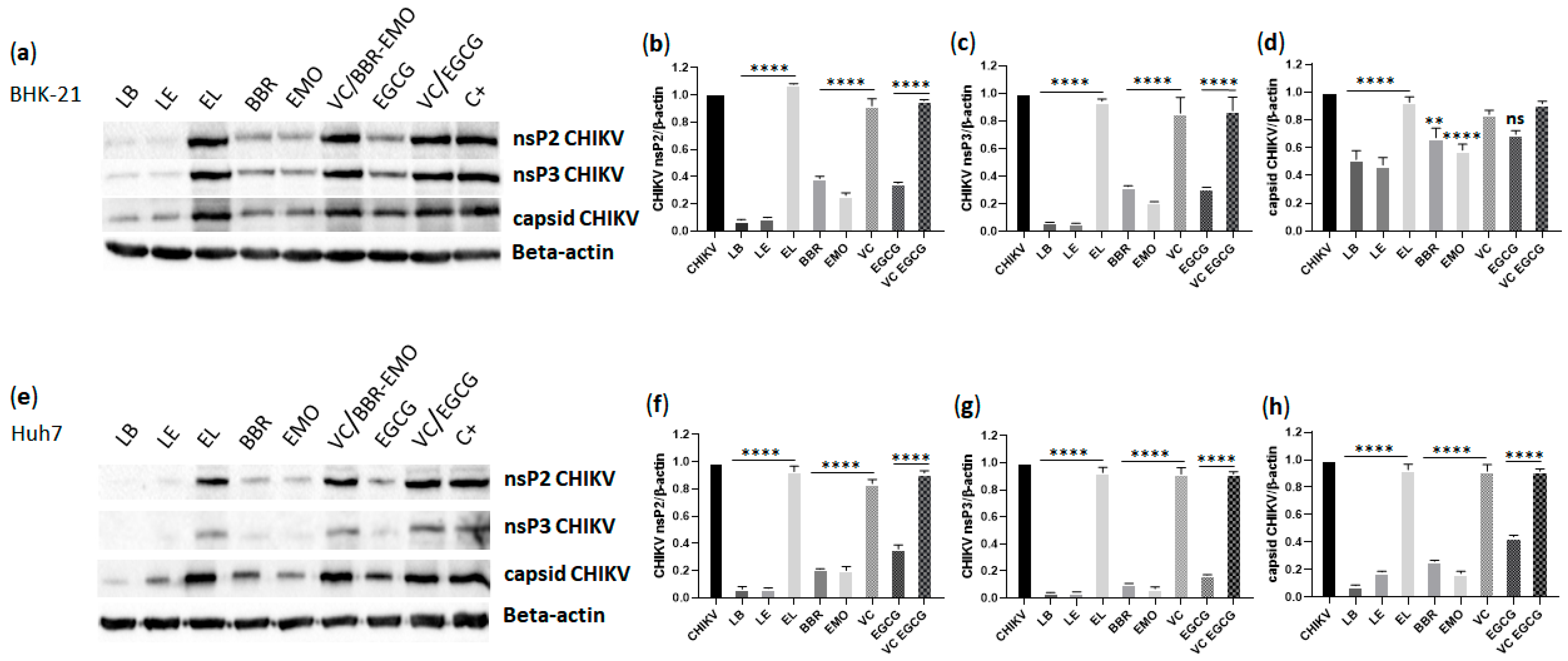 Pharmaceutics 17 01229 g008 Pharmaceutics 17 01229 g008