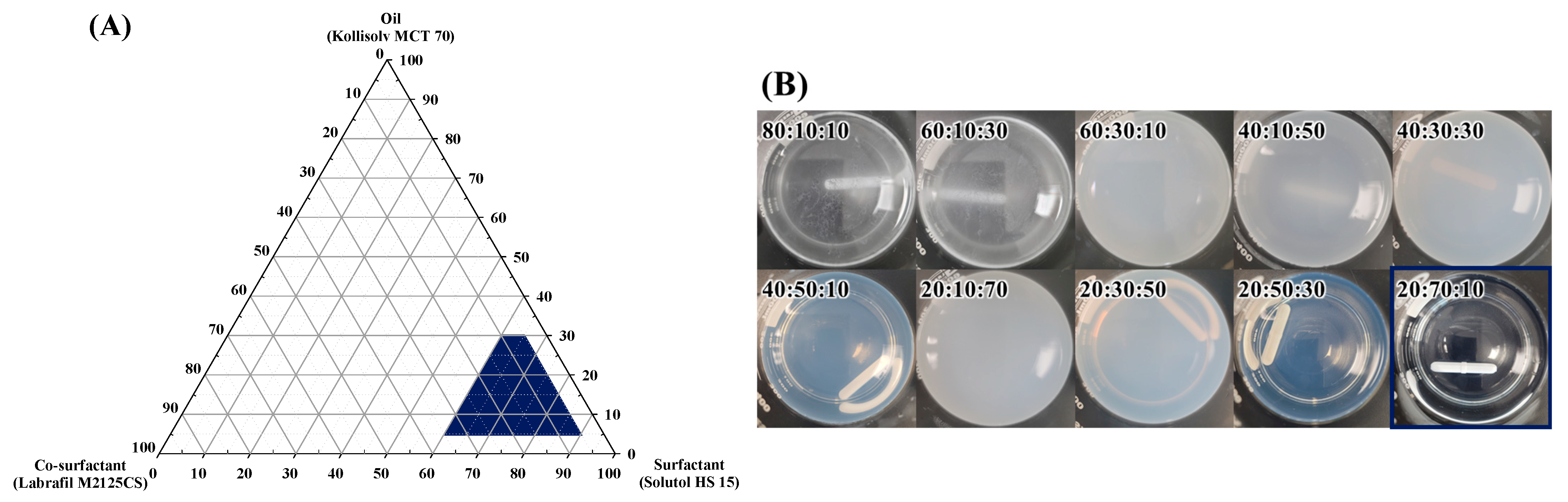 Pharmaceutics 17 01230 g002 Pharmaceutics 17 01230 g002