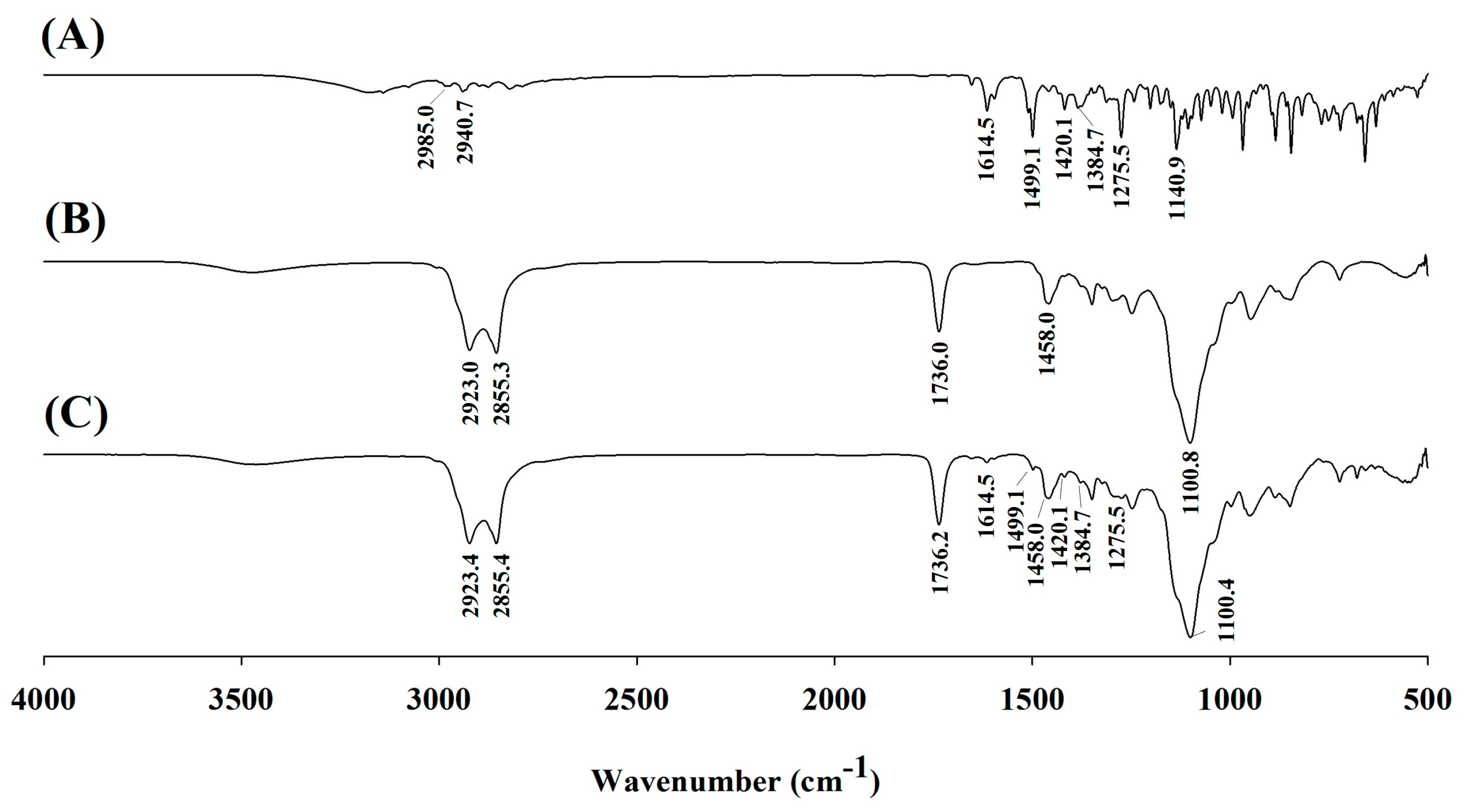 Pharmaceutics 17 01230 g003 Pharmaceutics 17 01230 g003