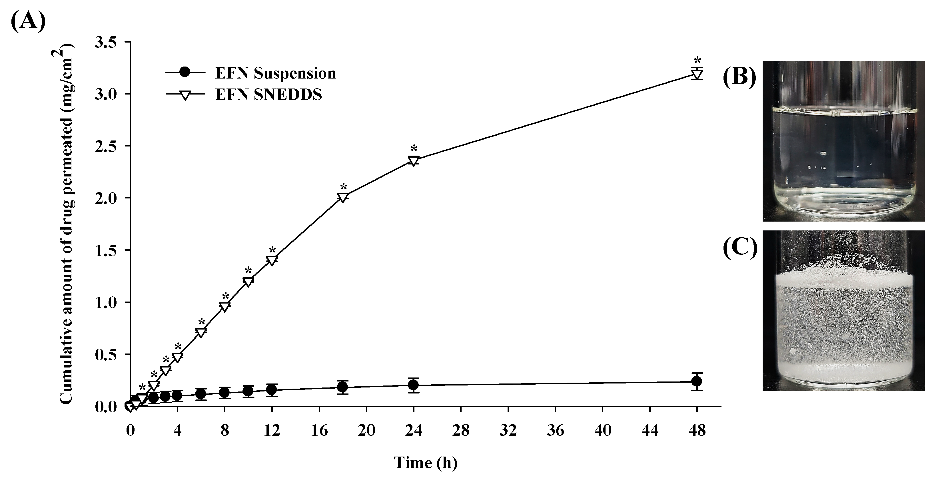 Pharmaceutics 17 01230 g006 Pharmaceutics 17 01230 g006