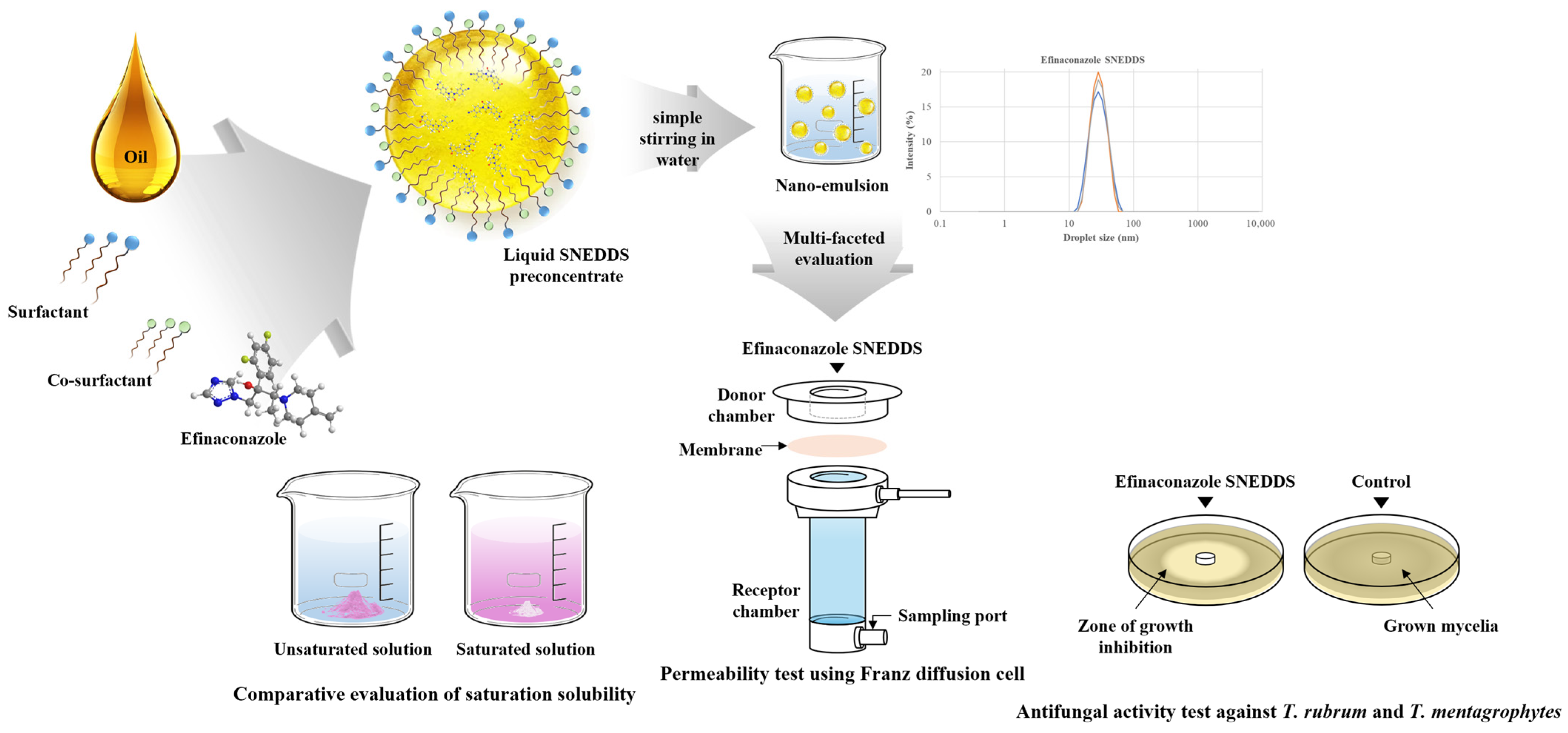 Pharmaceutics 17 01230 sch001 Pharmaceutics 17 01230 sch001
