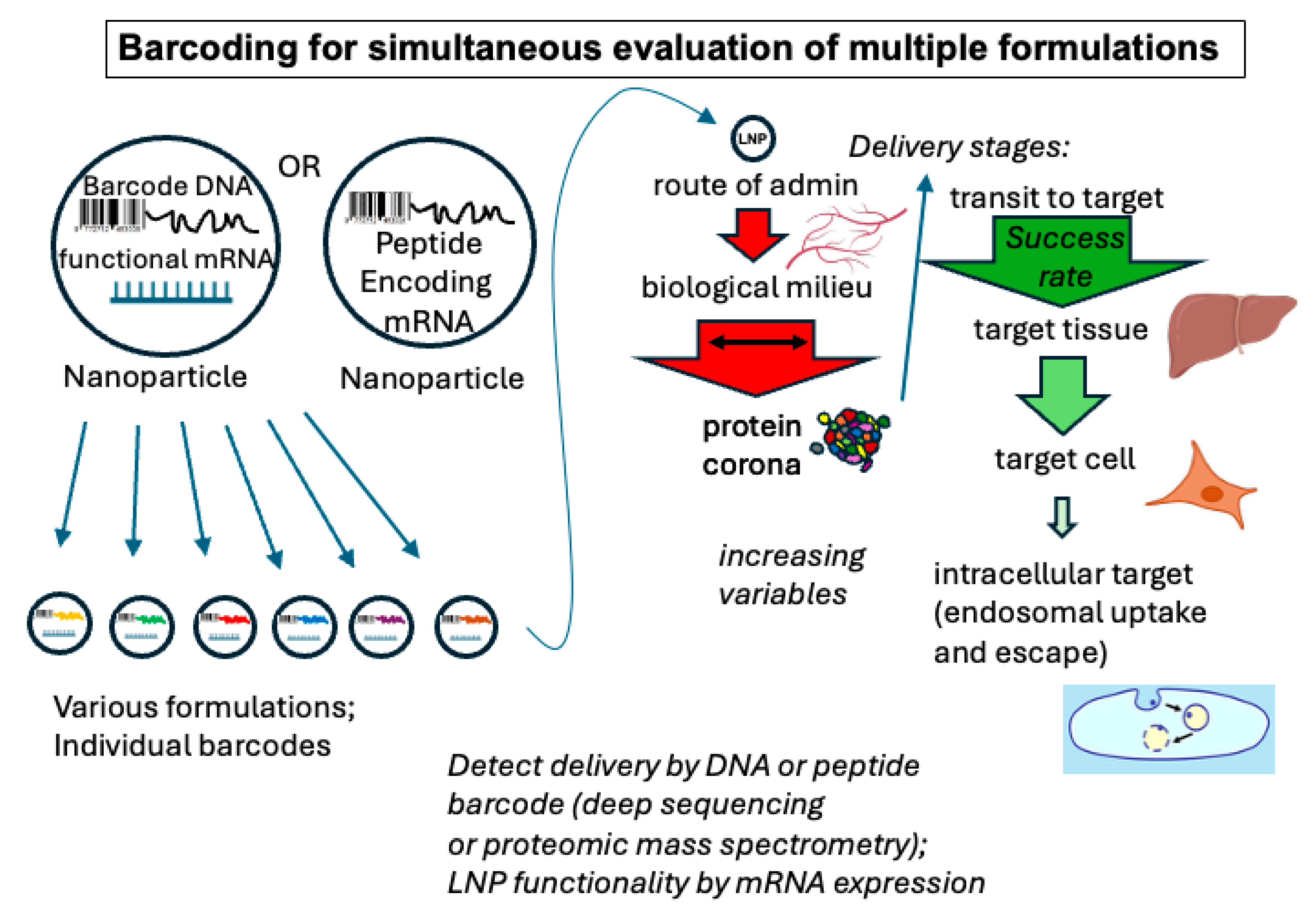 Pharmaceutics 17 01231 g003
