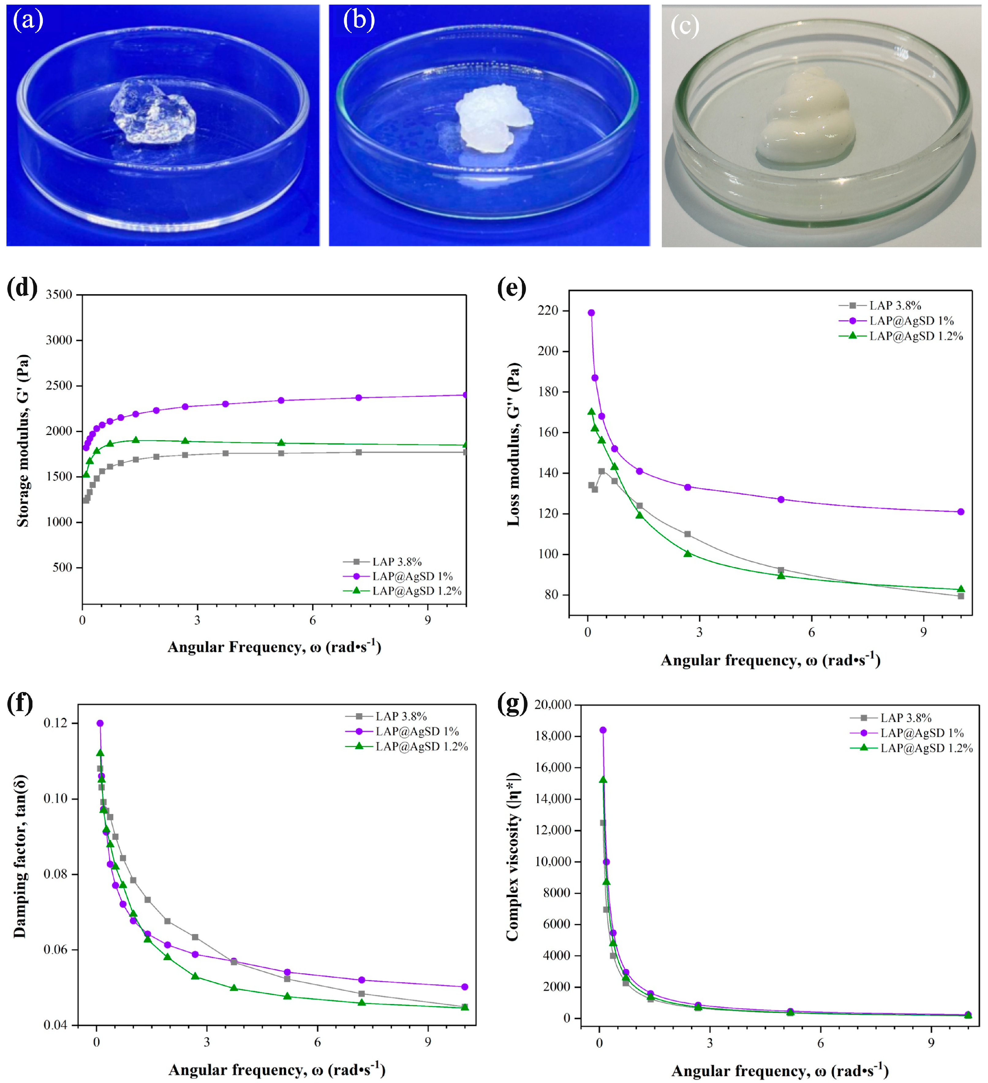 Pharmaceutics 17 01234 g002