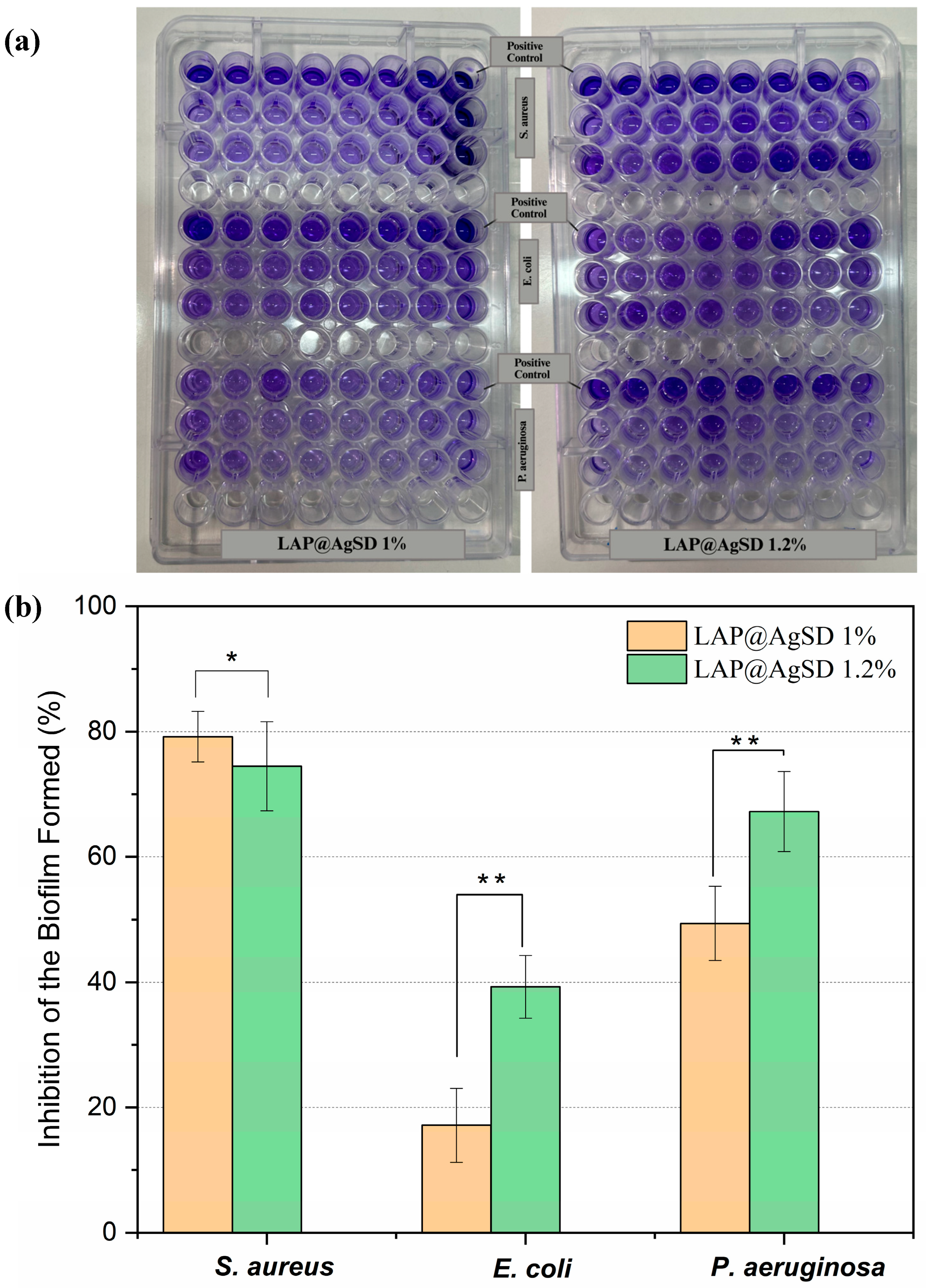 Pharmaceutics 17 01234 g007