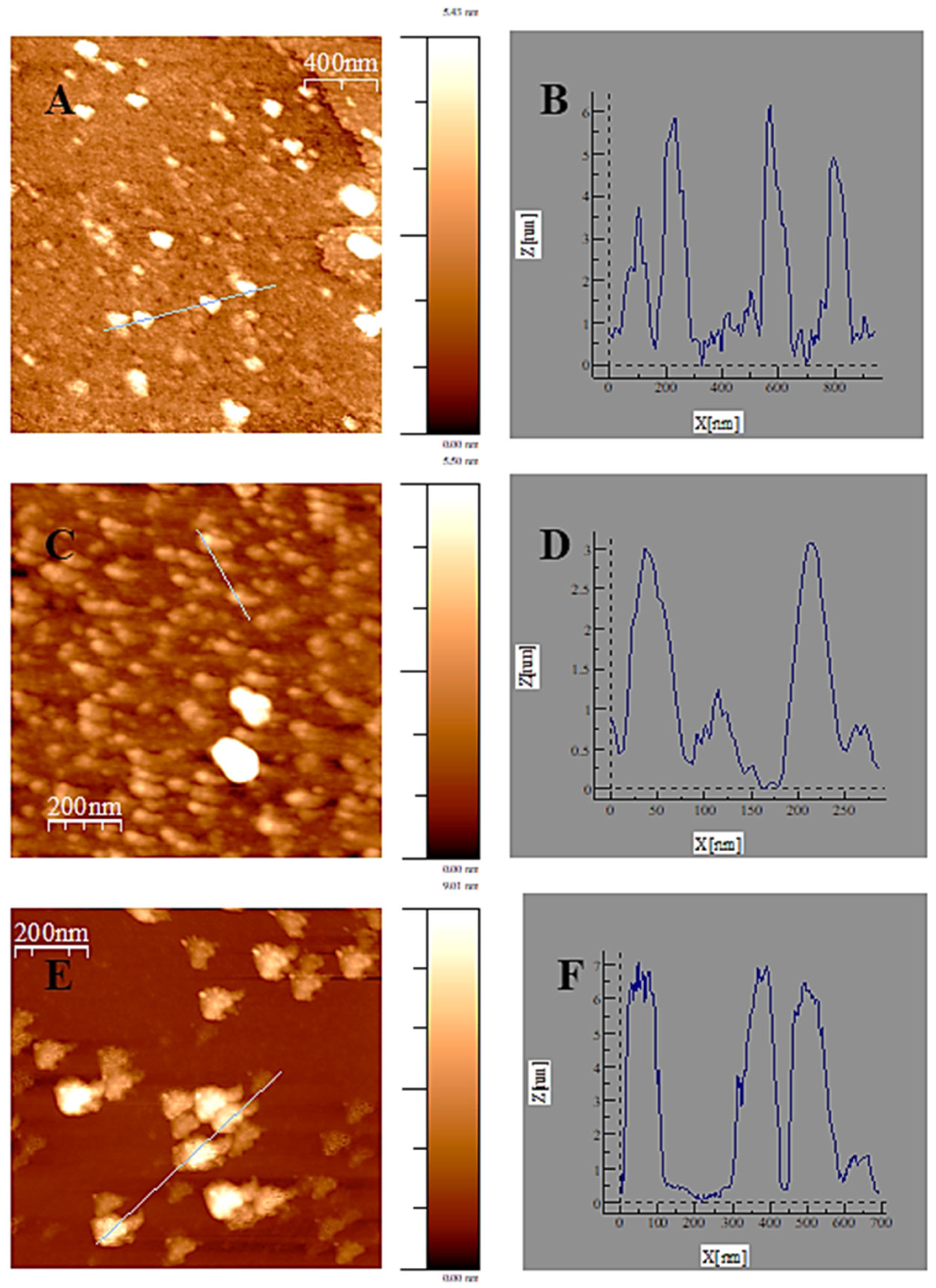 Pharmaceutics 17 01236 g004 Pharmaceutics 17 01236 g004