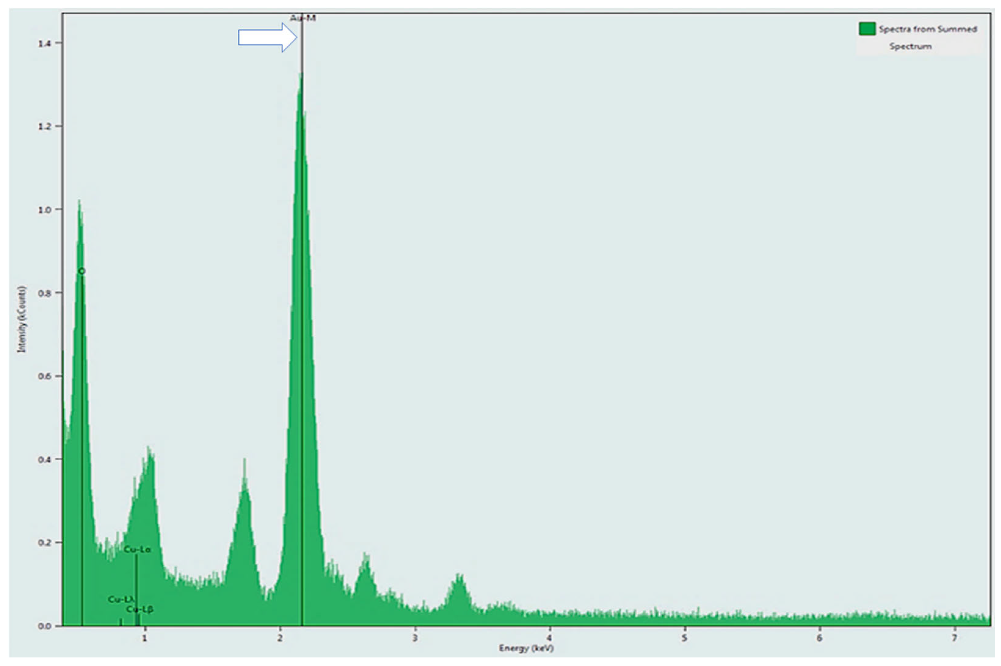 Pharmaceutics 17 01236 g007 Pharmaceutics 17 01236 g007