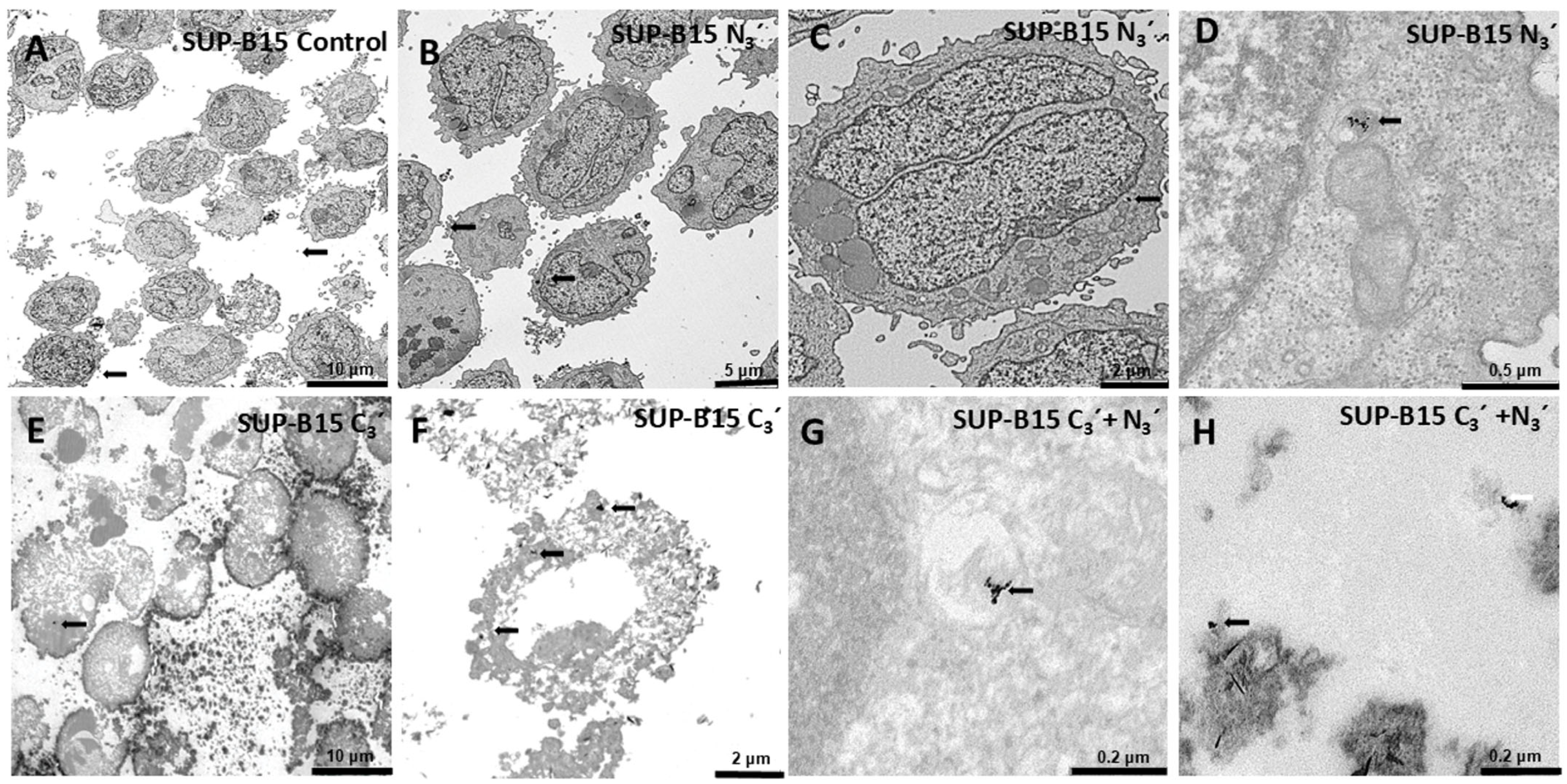 Pharmaceutics 17 01236 g010 Pharmaceutics 17 01236 g010