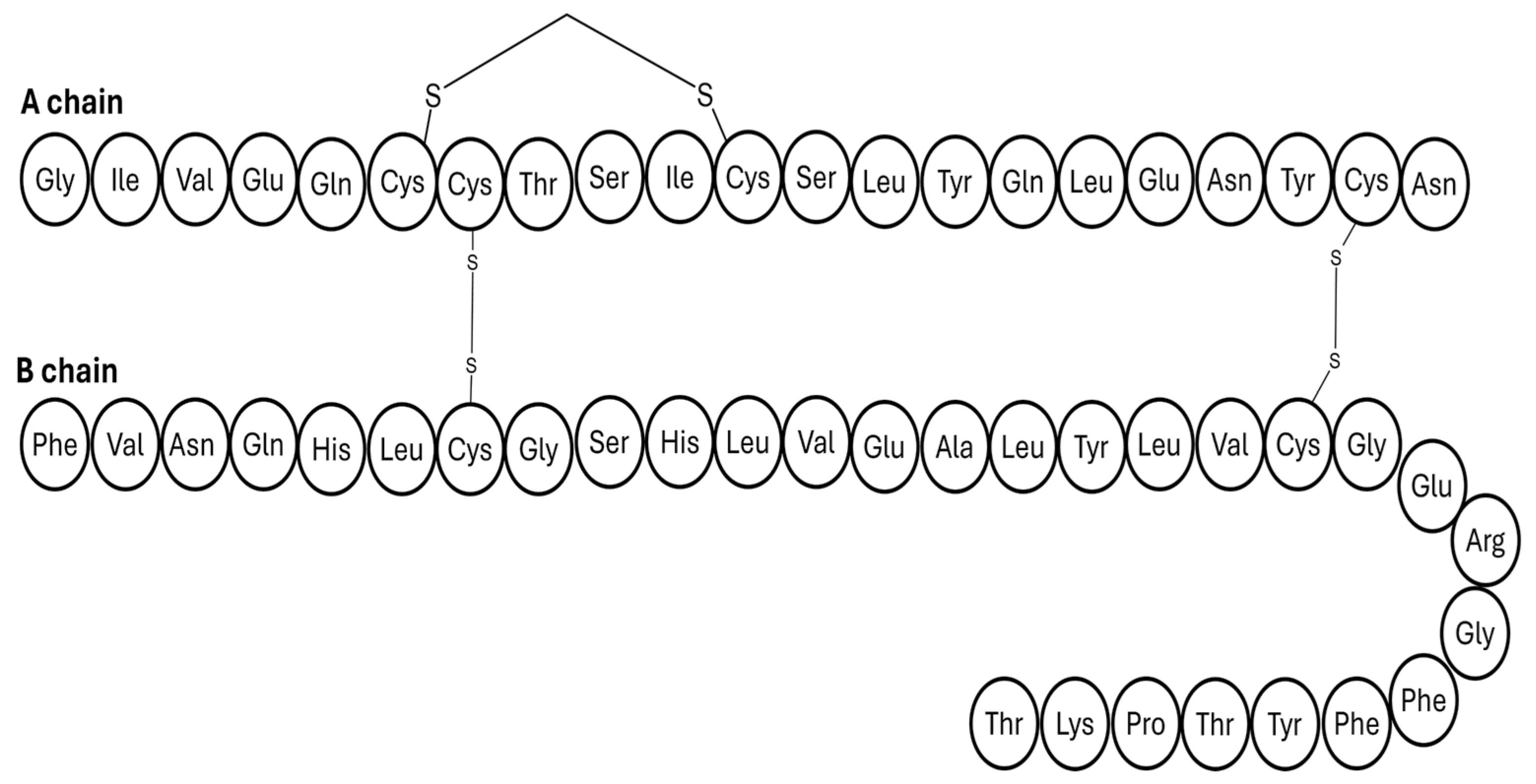 Pharmaceutics 17 01239 g007 Pharmaceutics 17 01239 g007