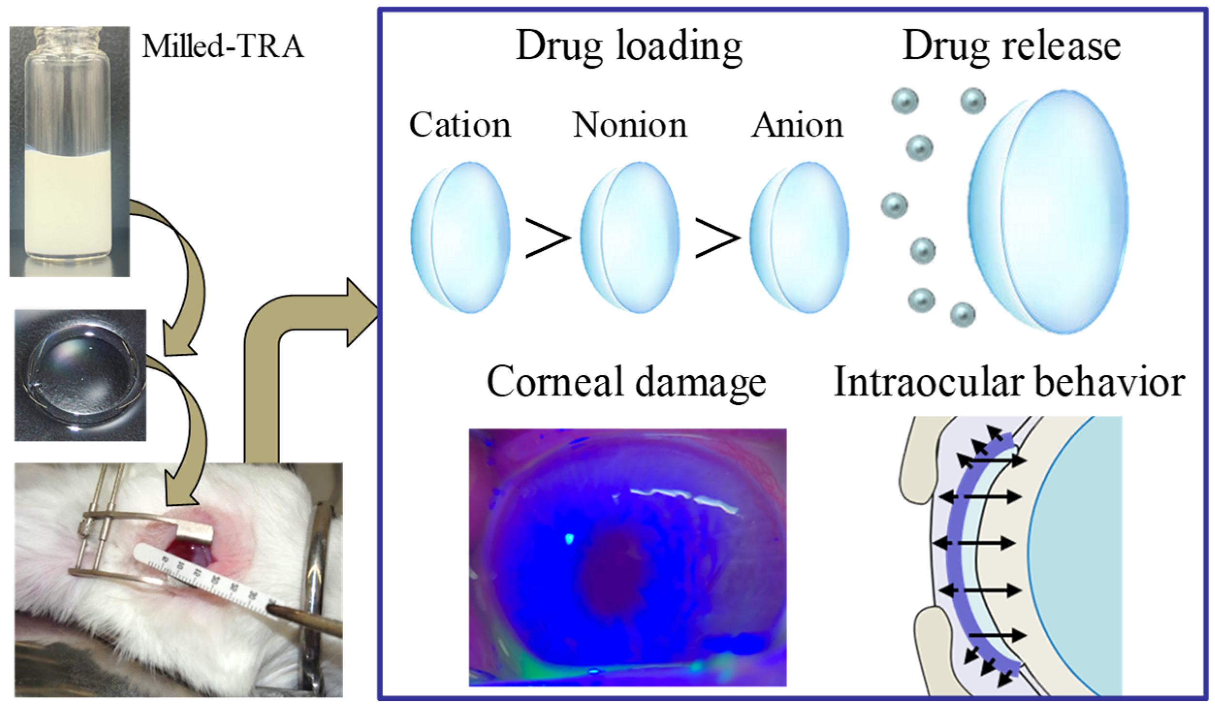 Pharmaceutics 17 01240 g008
