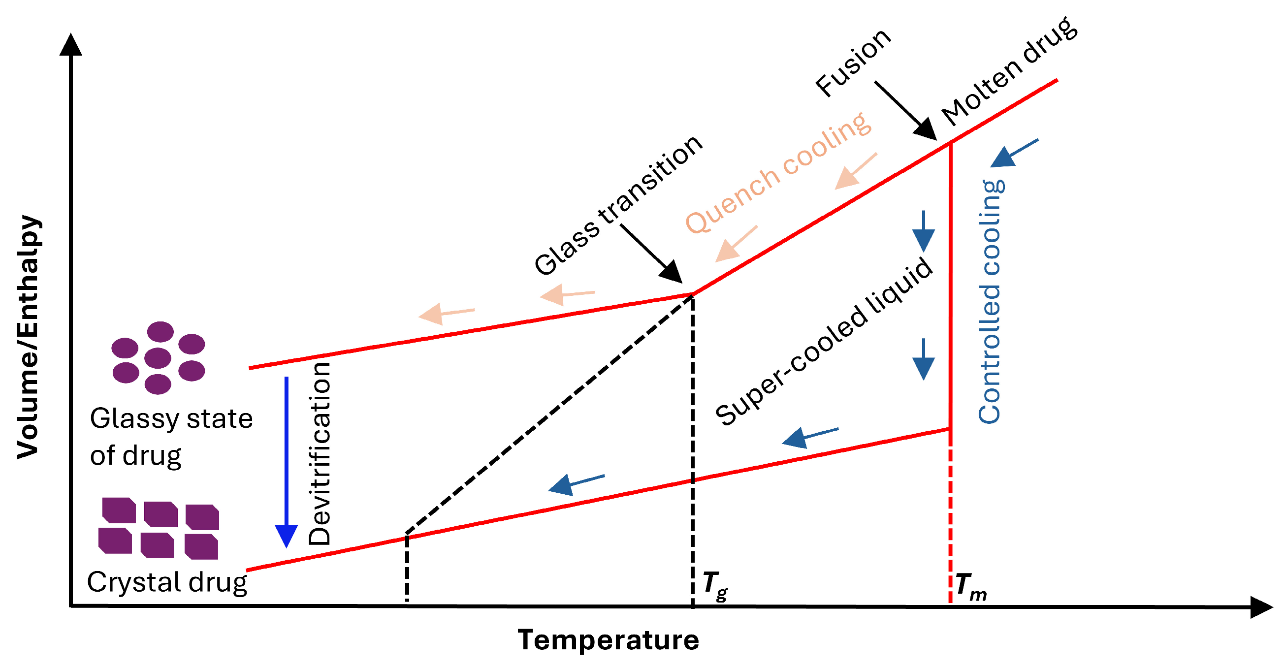 Pharmaceutics 17 01249 g003