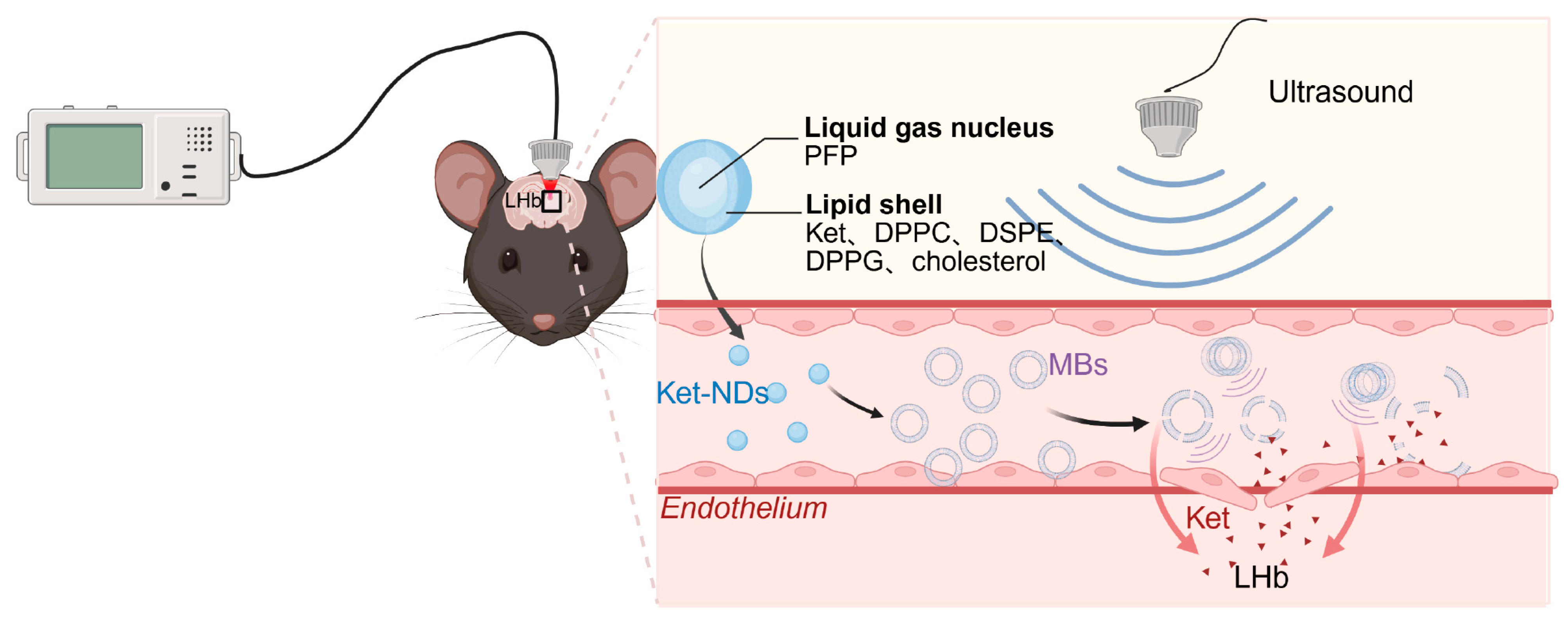 Pharmaceutics 17 01251 g001