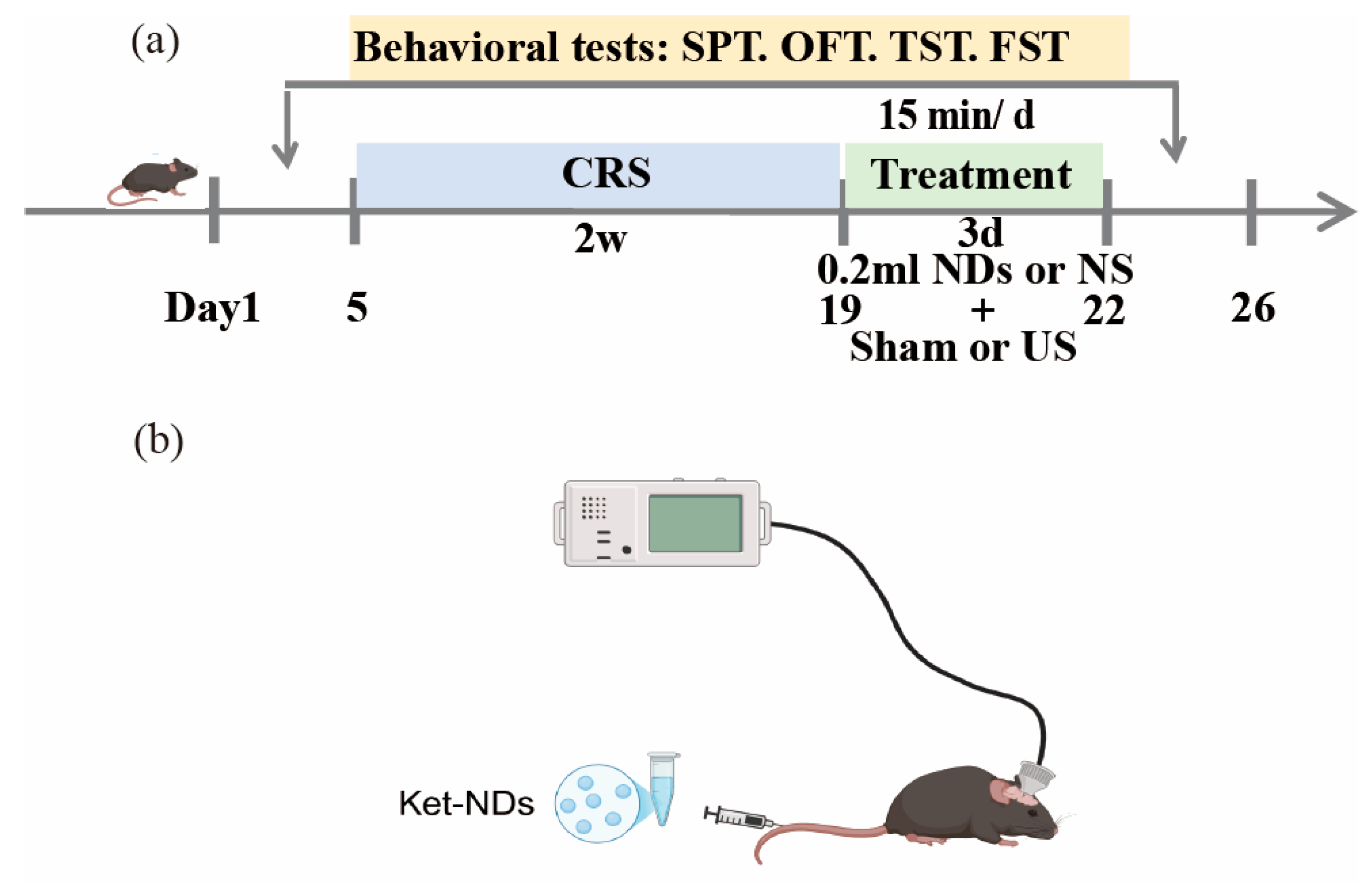 Pharmaceutics 17 01251 g002