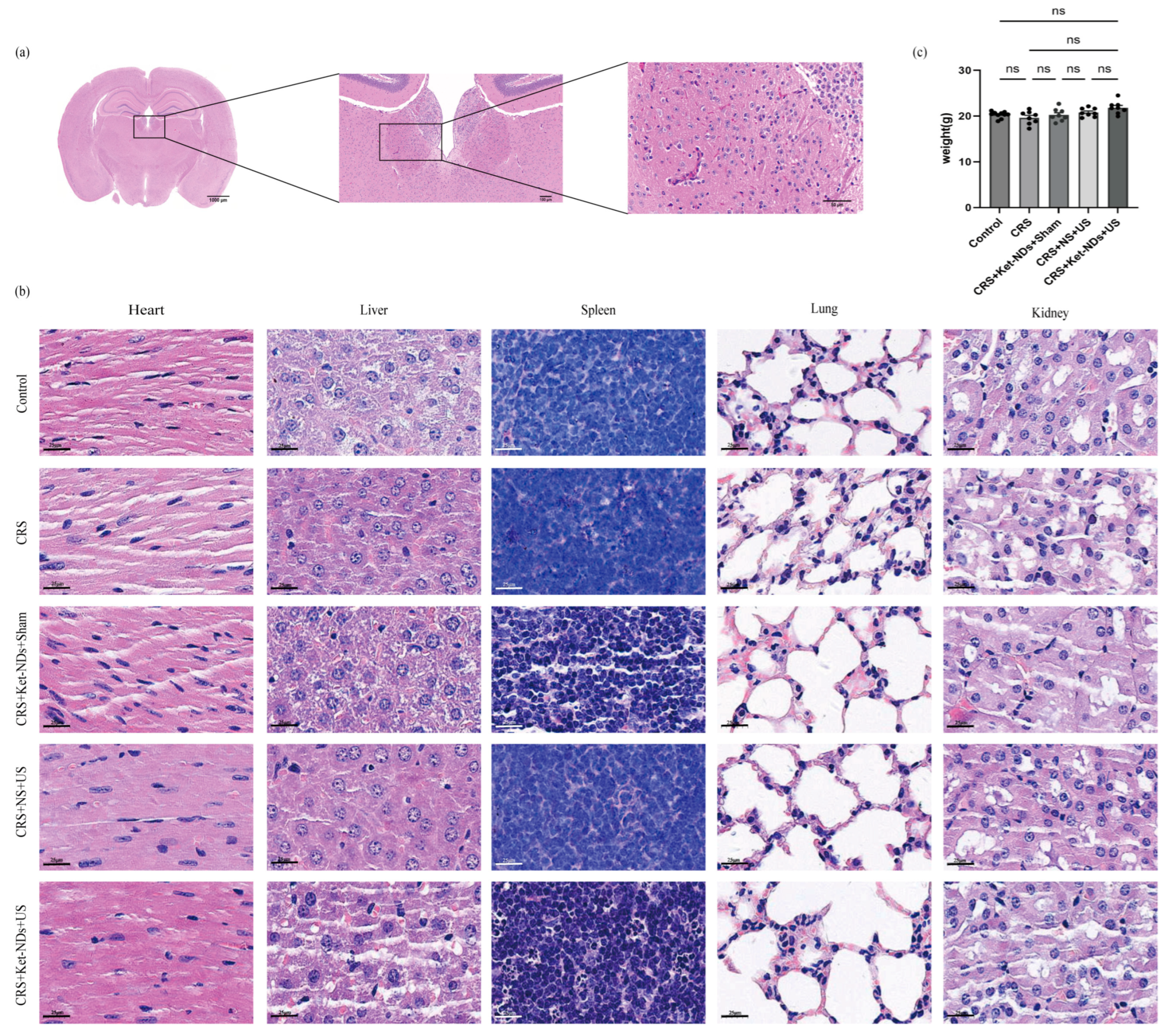 Pharmaceutics 17 01251 g009
