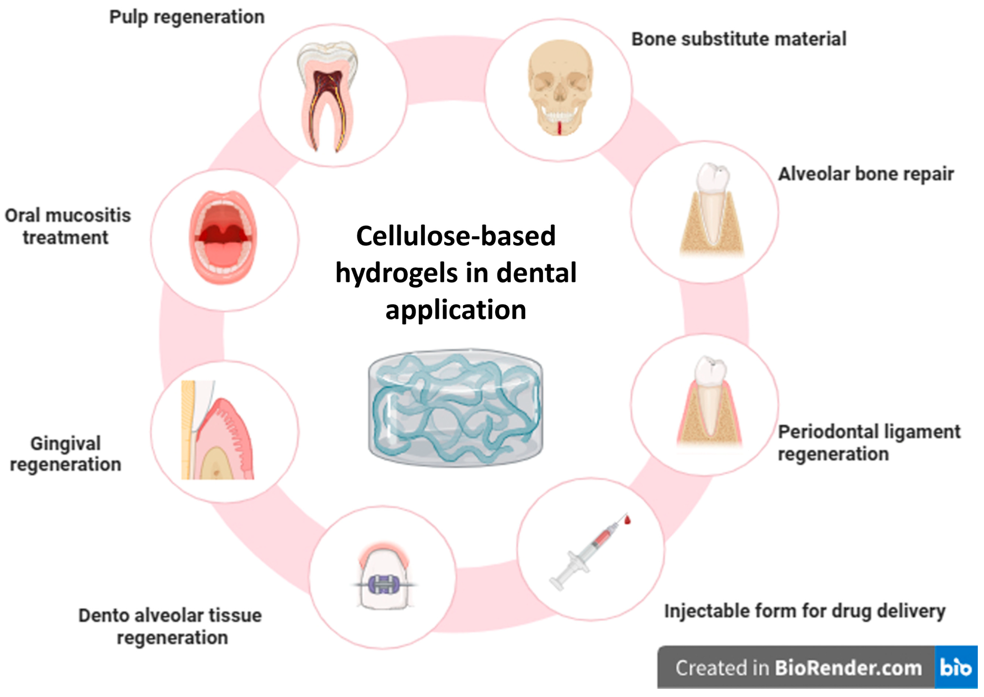 Pharmaceutics 17 01252 g001