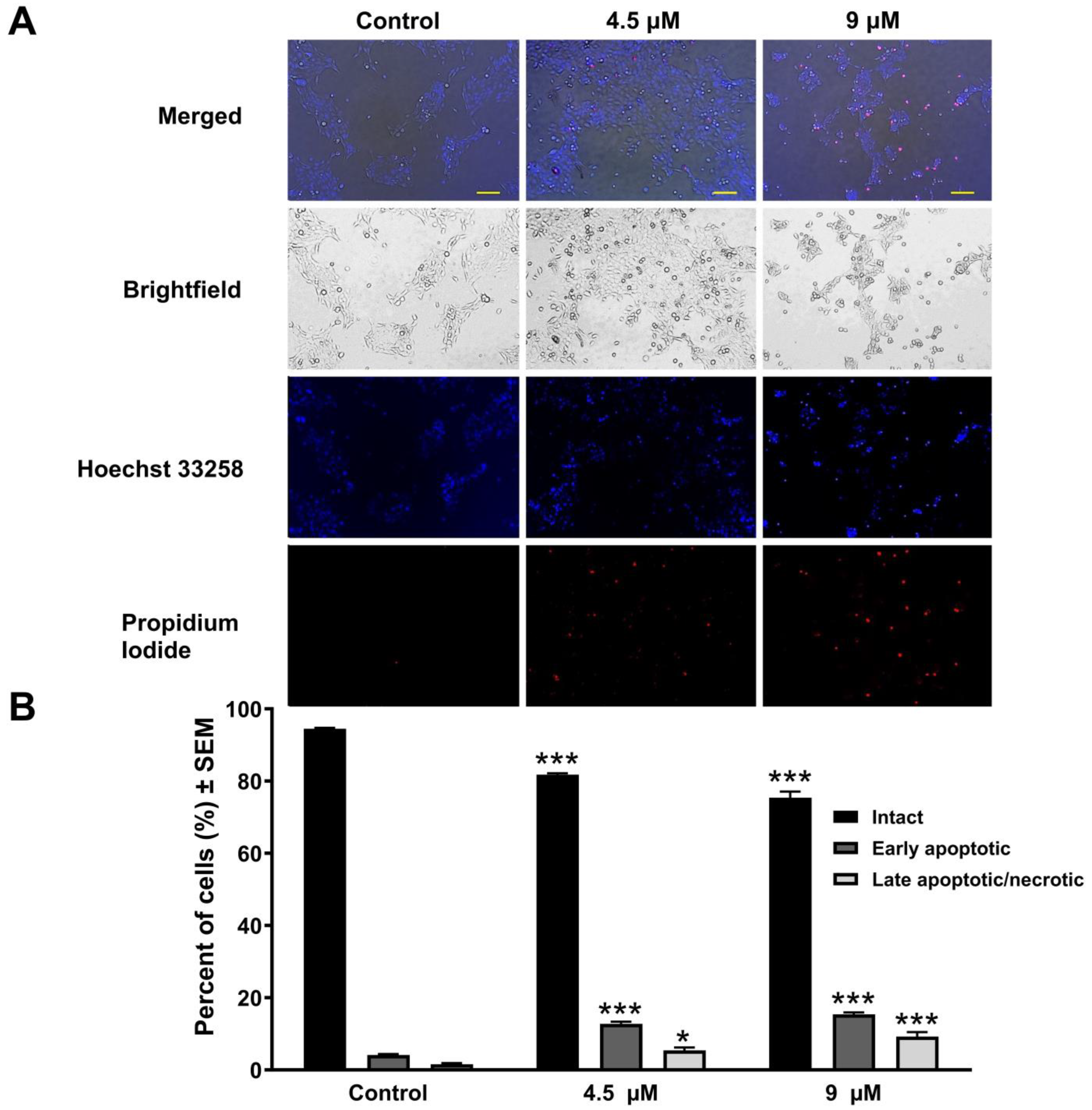 Pharmaceutics 17 01253 g004 Pharmaceutics 17 01253 g004