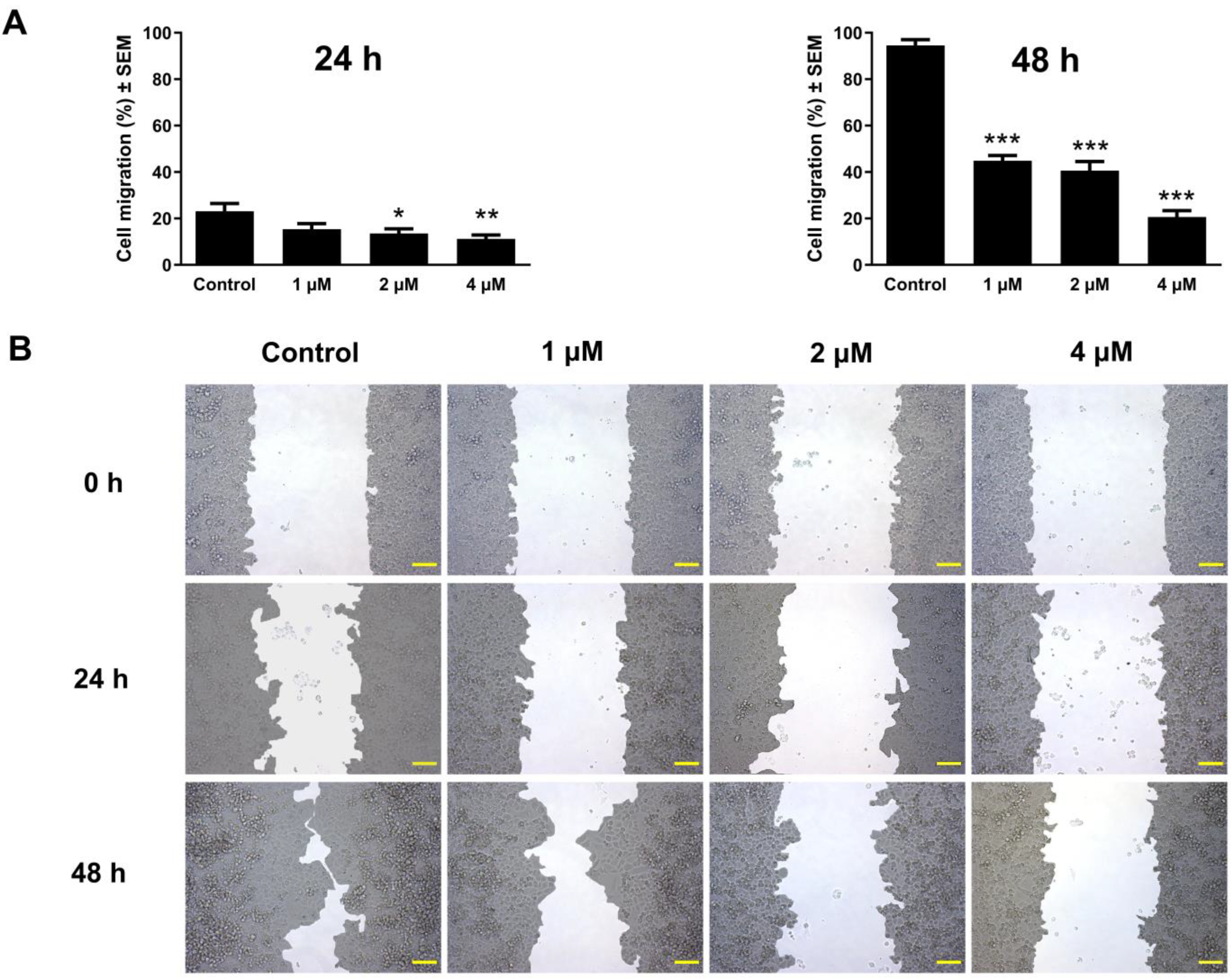 Pharmaceutics 17 01253 g007 Pharmaceutics 17 01253 g007